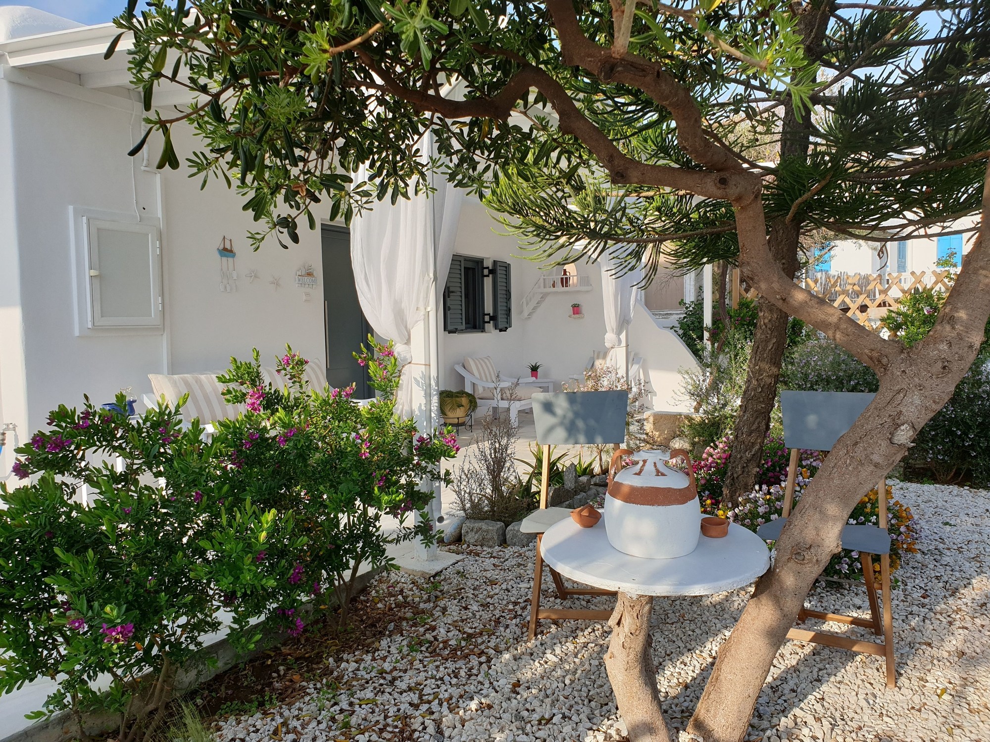 Sand Lily Mykonos