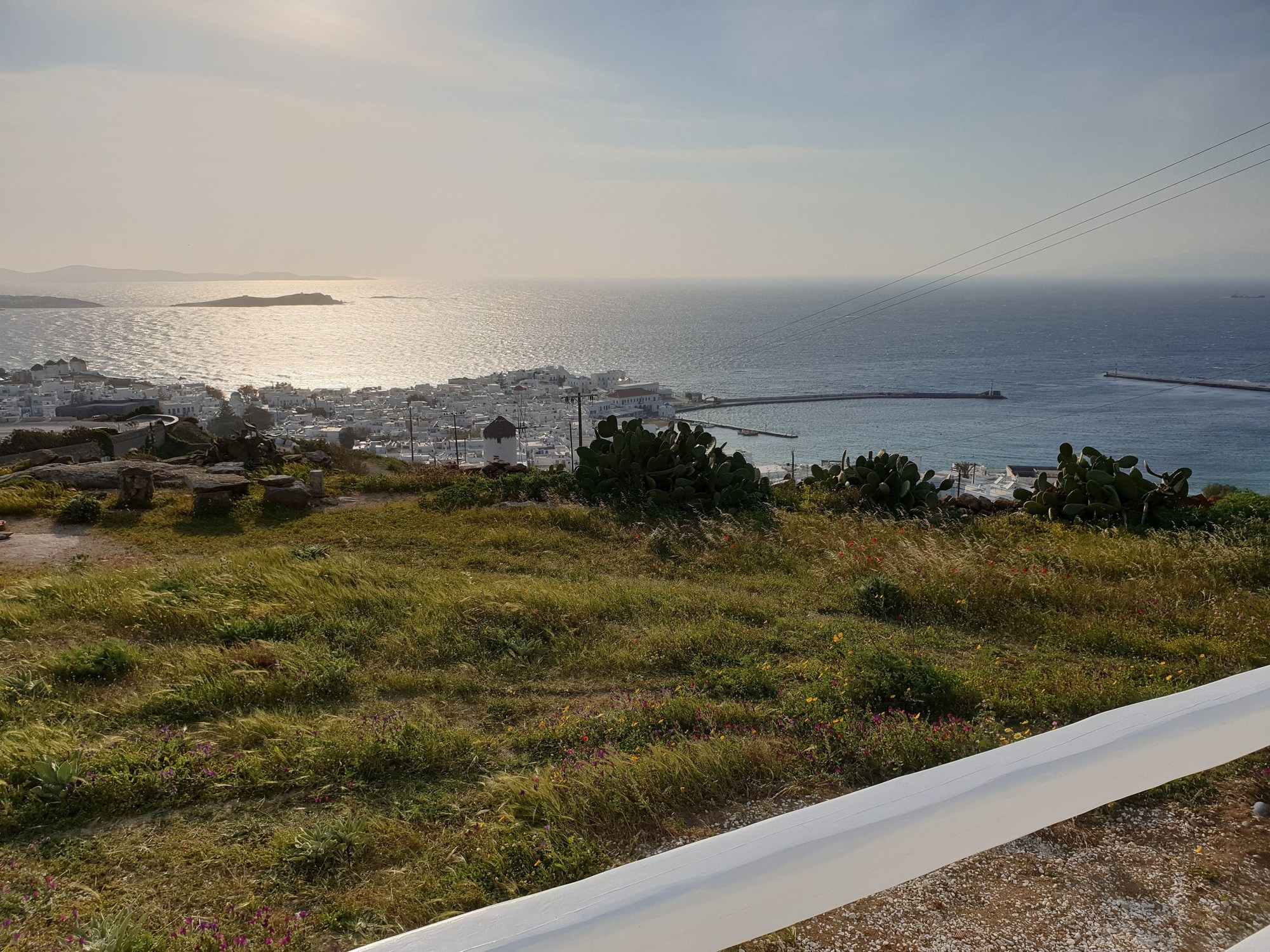 Sand Lily Mykonos