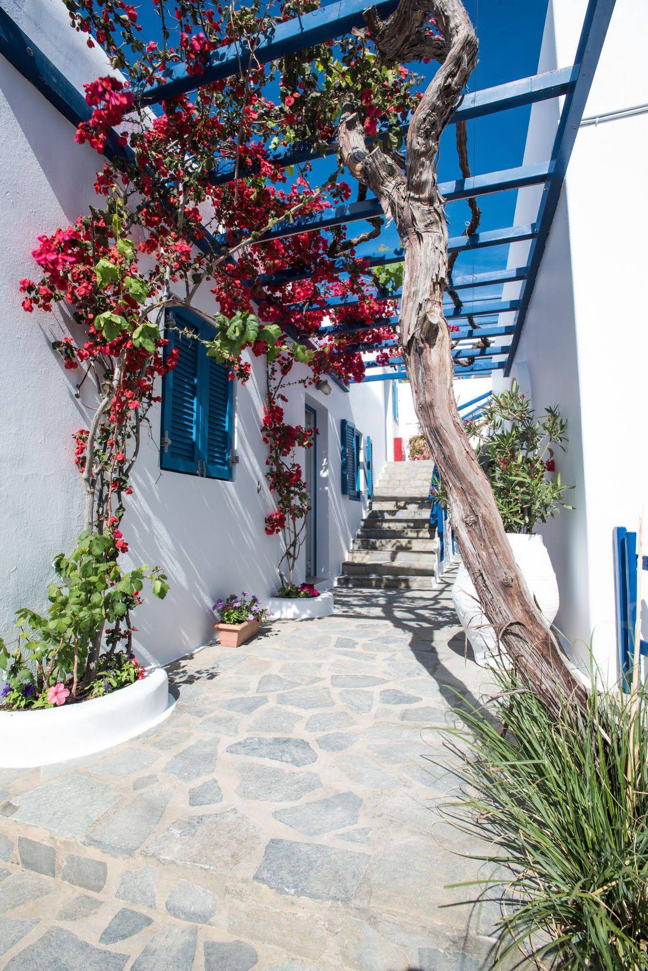 Spanelis Hotel Mykonos