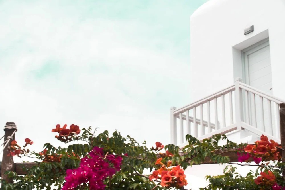 Tagoo Studios Mykonos