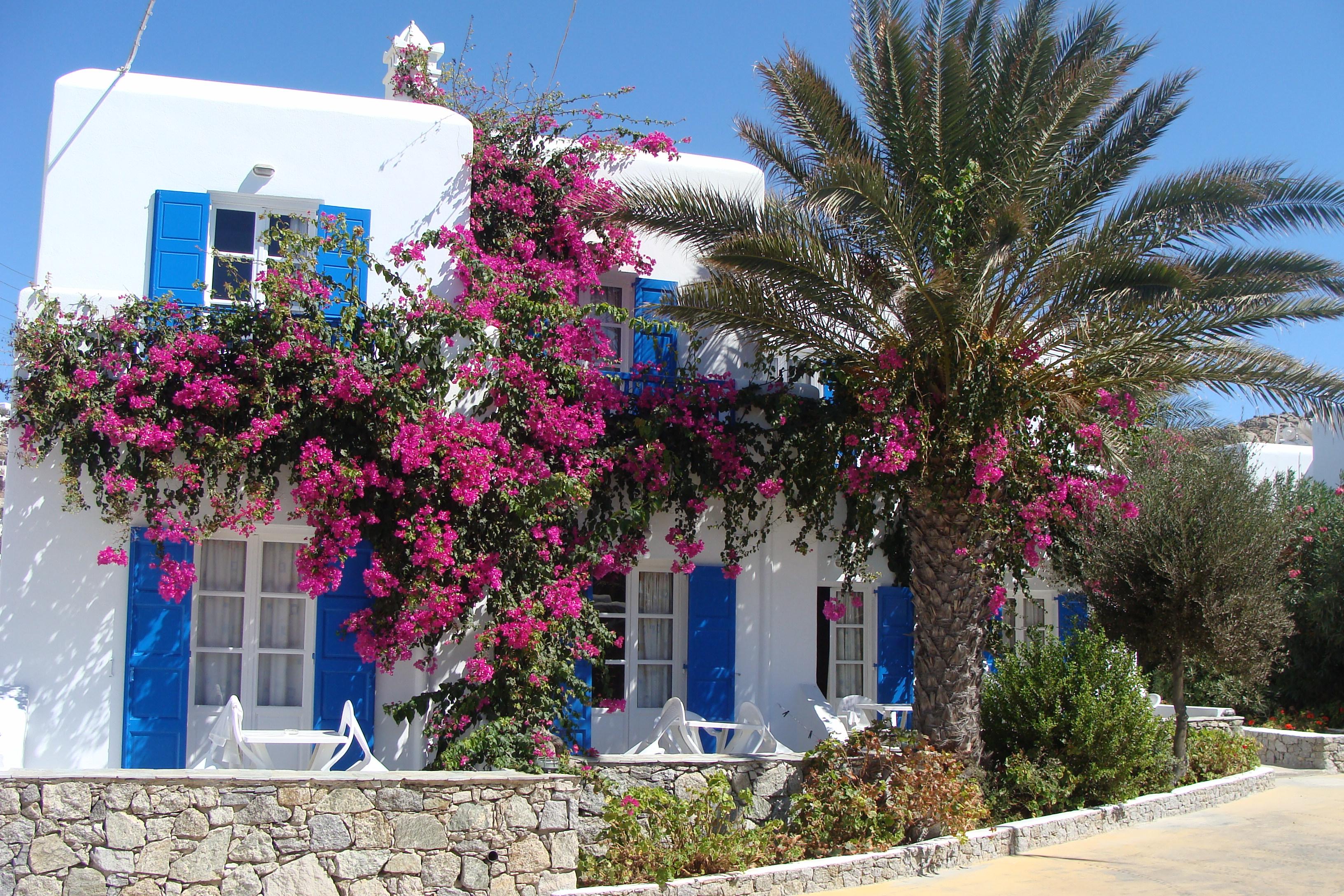 Anemos Apartments & Studios