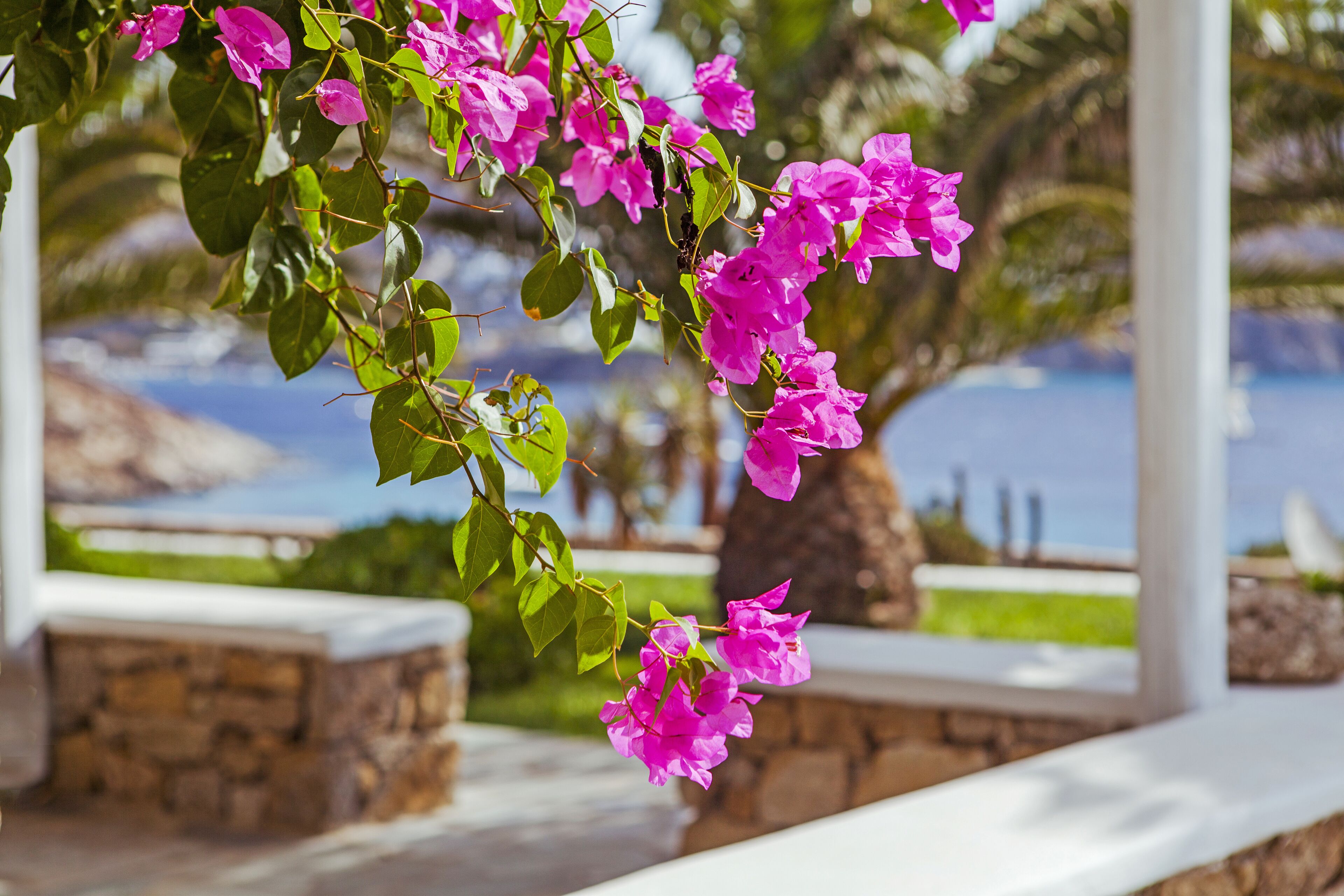 Sea View Residence
