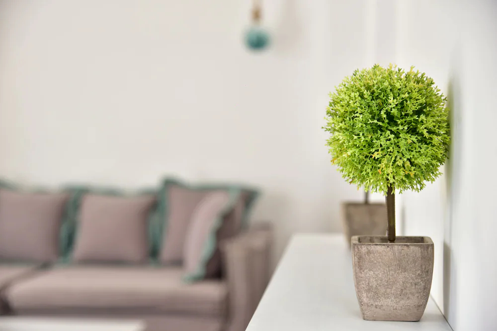Tropicana Hotel , Suites & Villas Mykonos