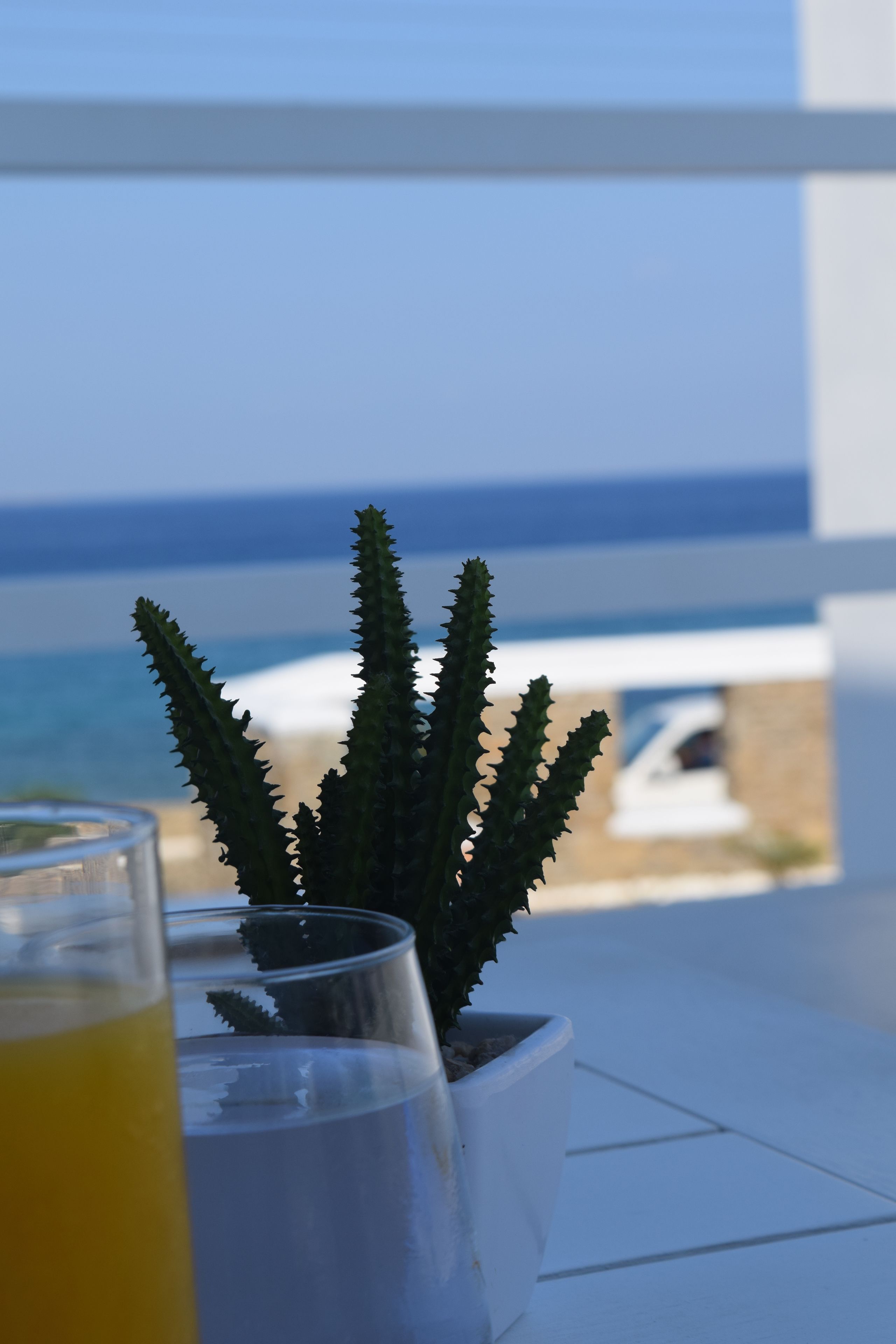 Croco Mykonos