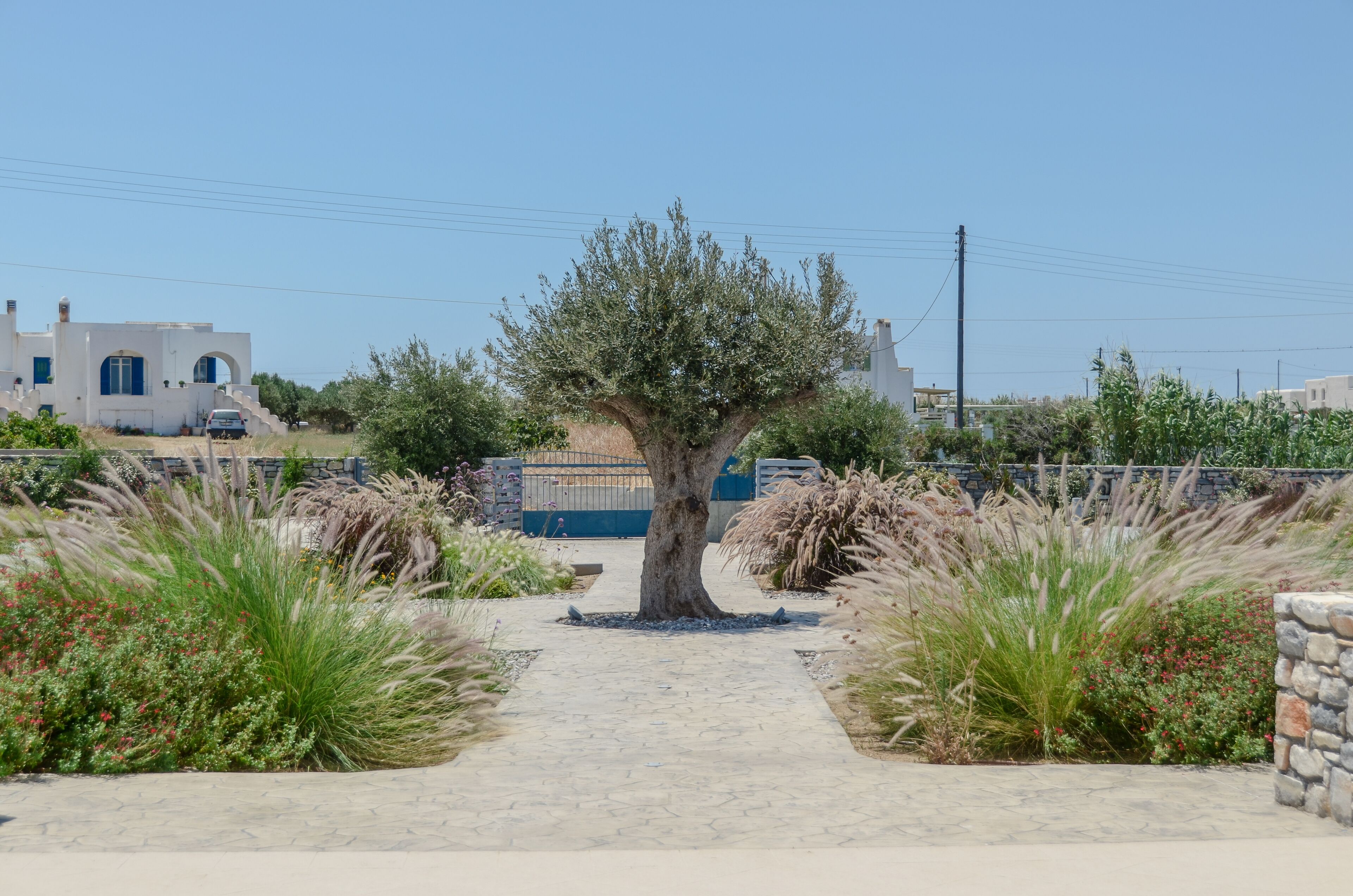Olives & Rocks Naxian Villas