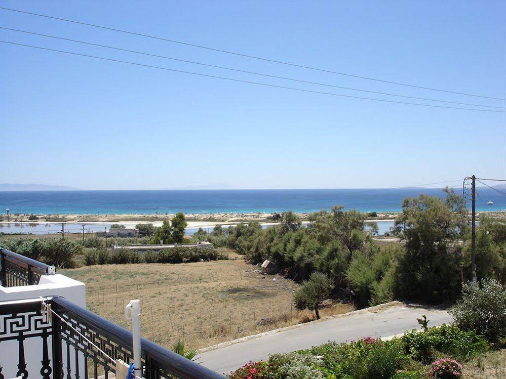 Dina Studios
