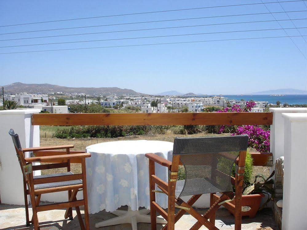 Dina Studios