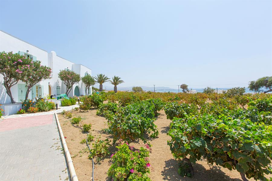 Lianos Village