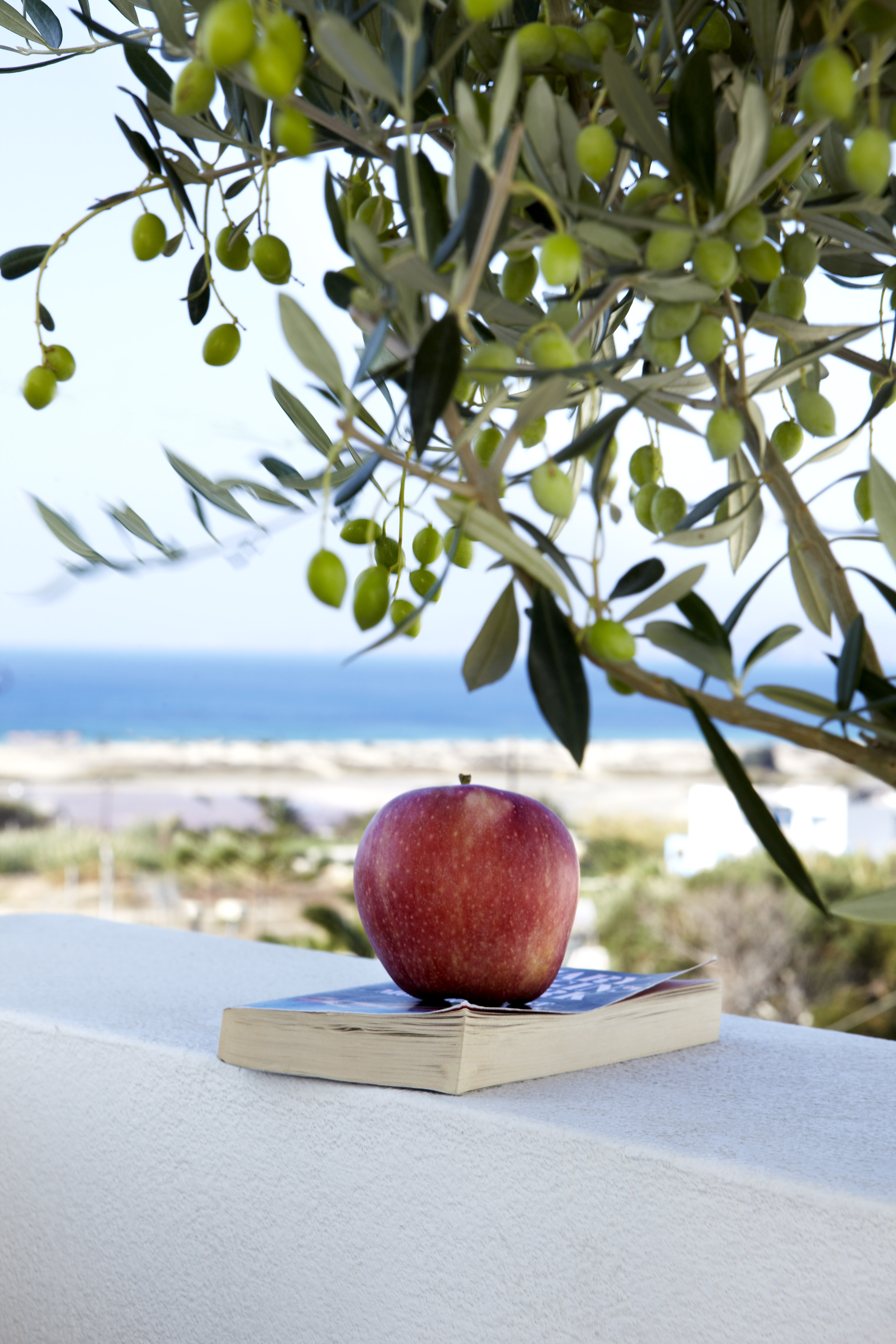 Mitos Suites Luxury Hotel In Naxos