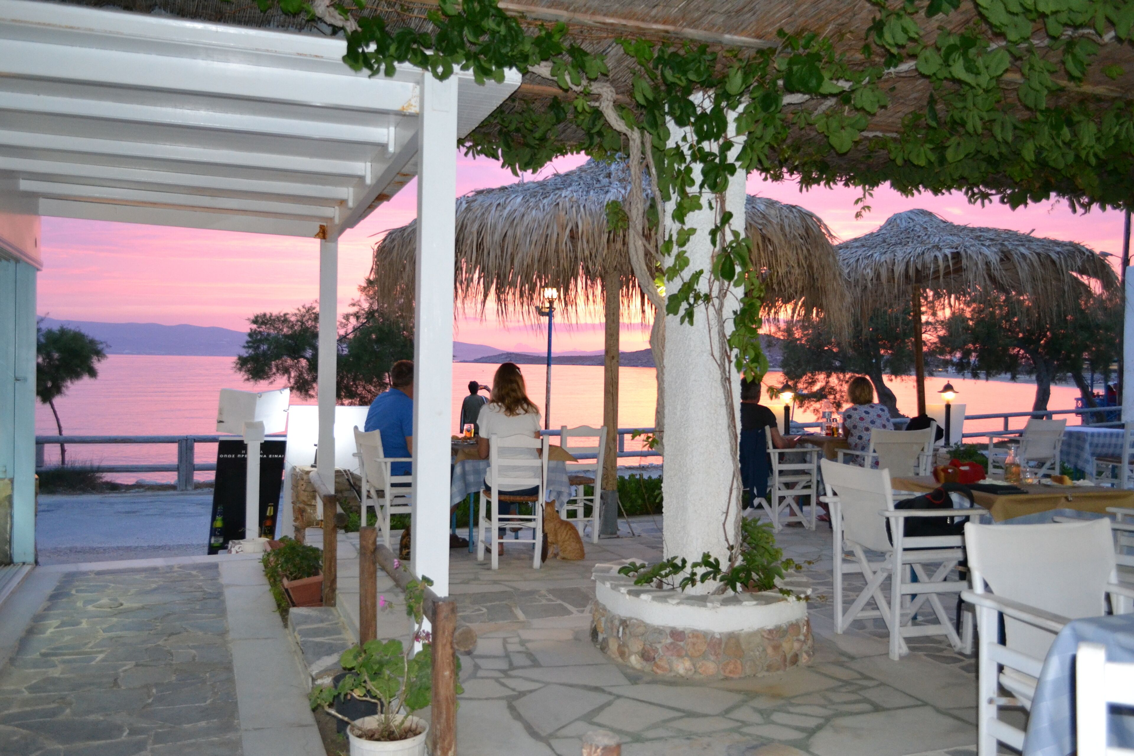 Sunset  Studios & Restaurant