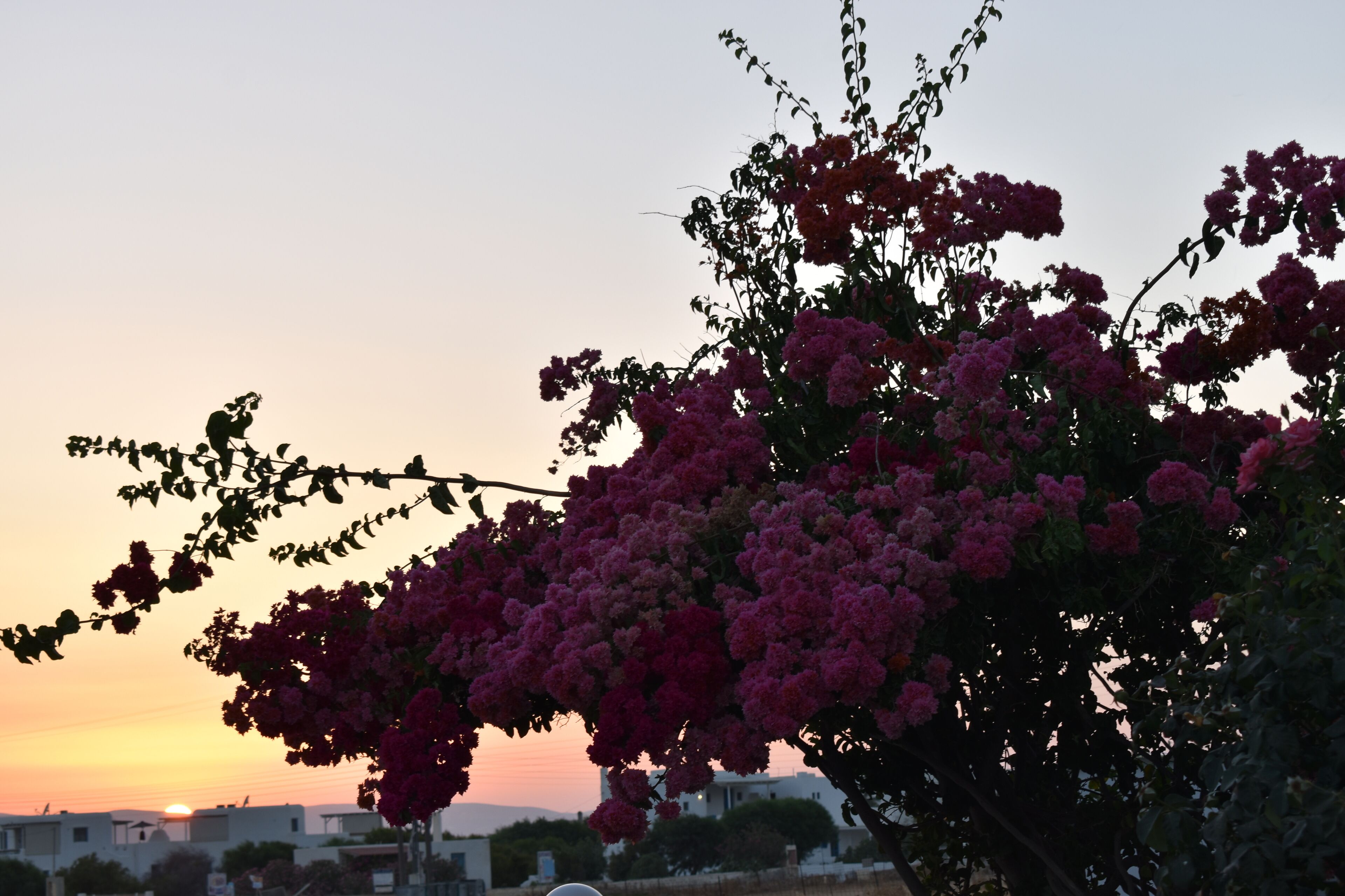 Diamantis Studios & Apartments