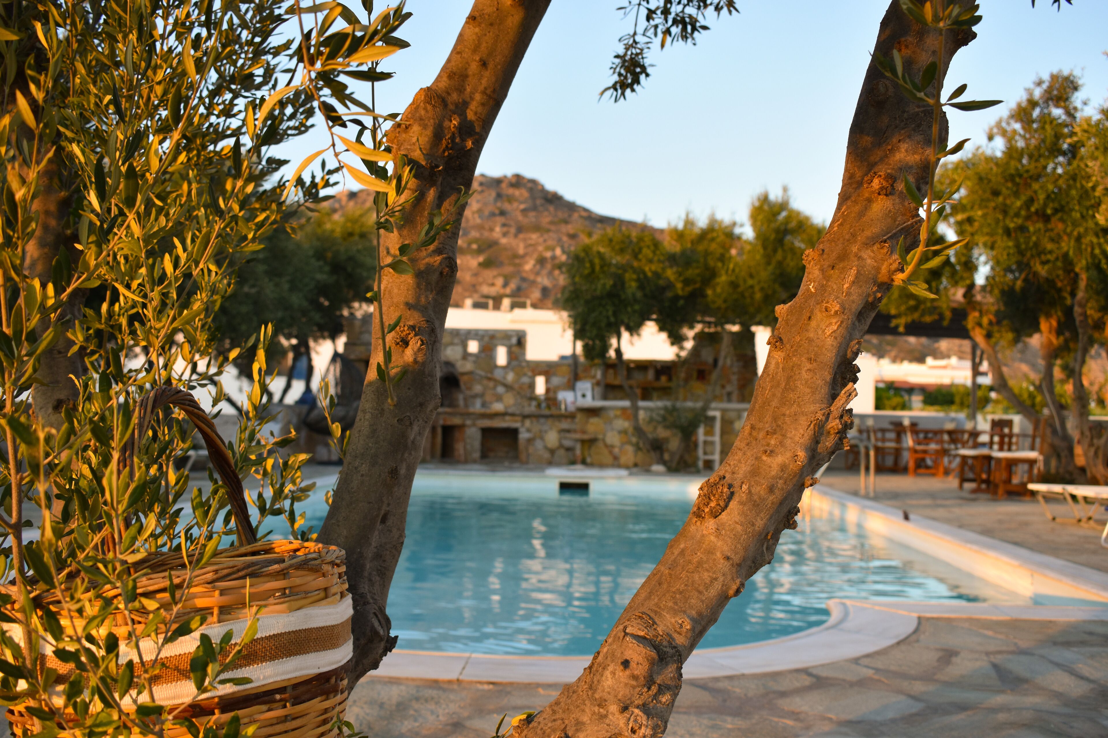 Diamantis Studios & Apartments