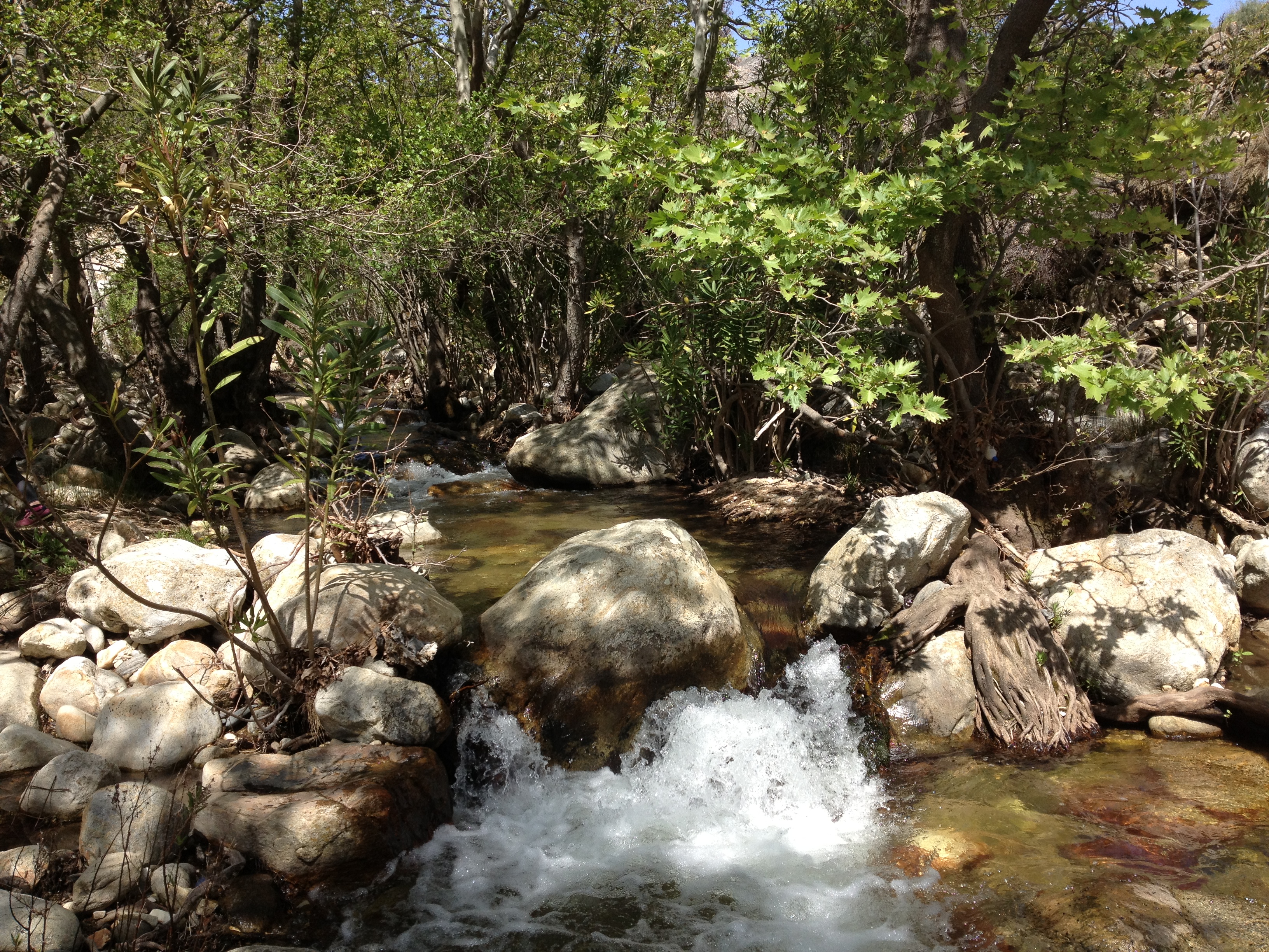 Depis Sea Side Villas