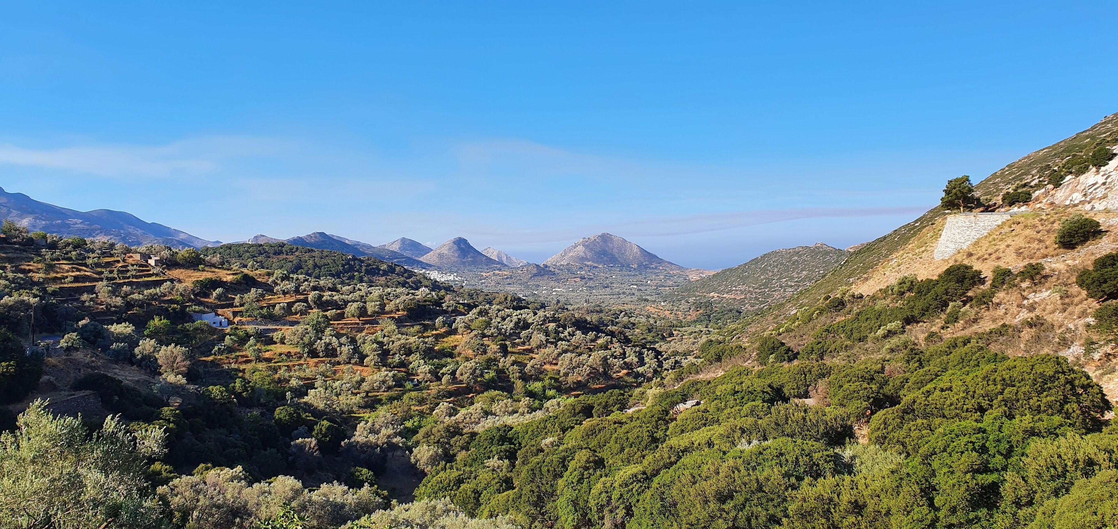 ELaiolithos Luxury Retreat