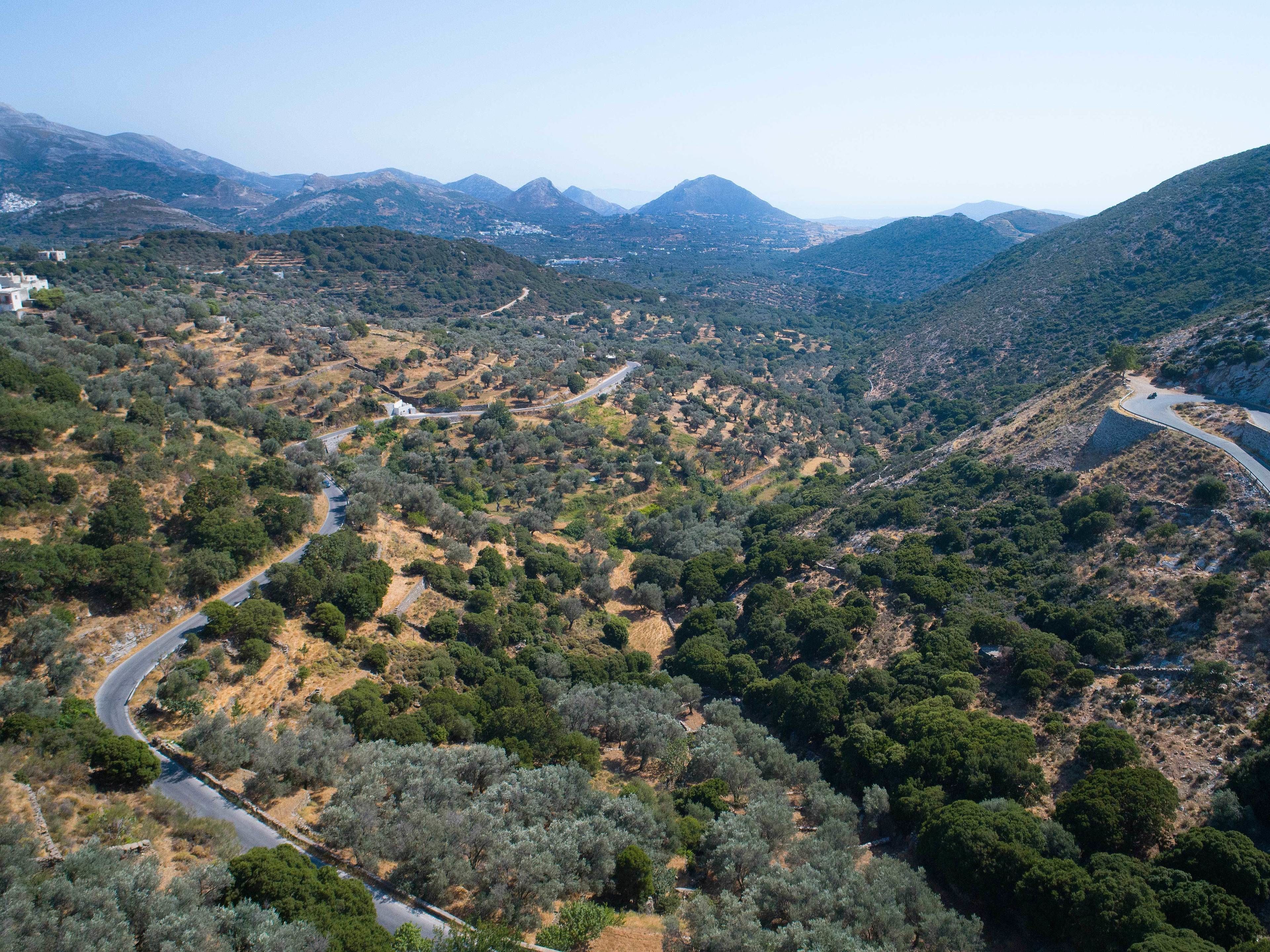 ELaiolithos Luxury Retreat