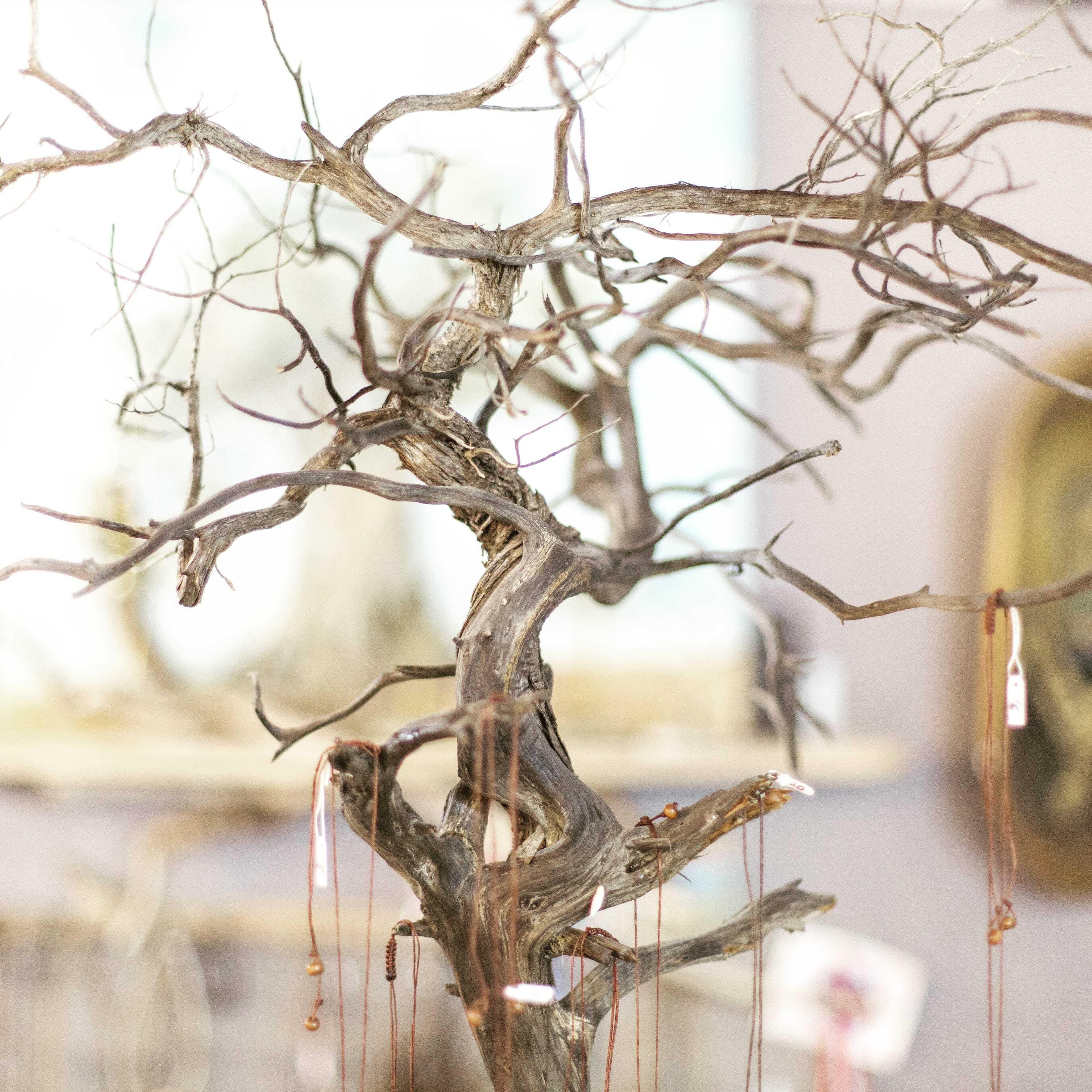 ELaiolithos Luxury Retreat