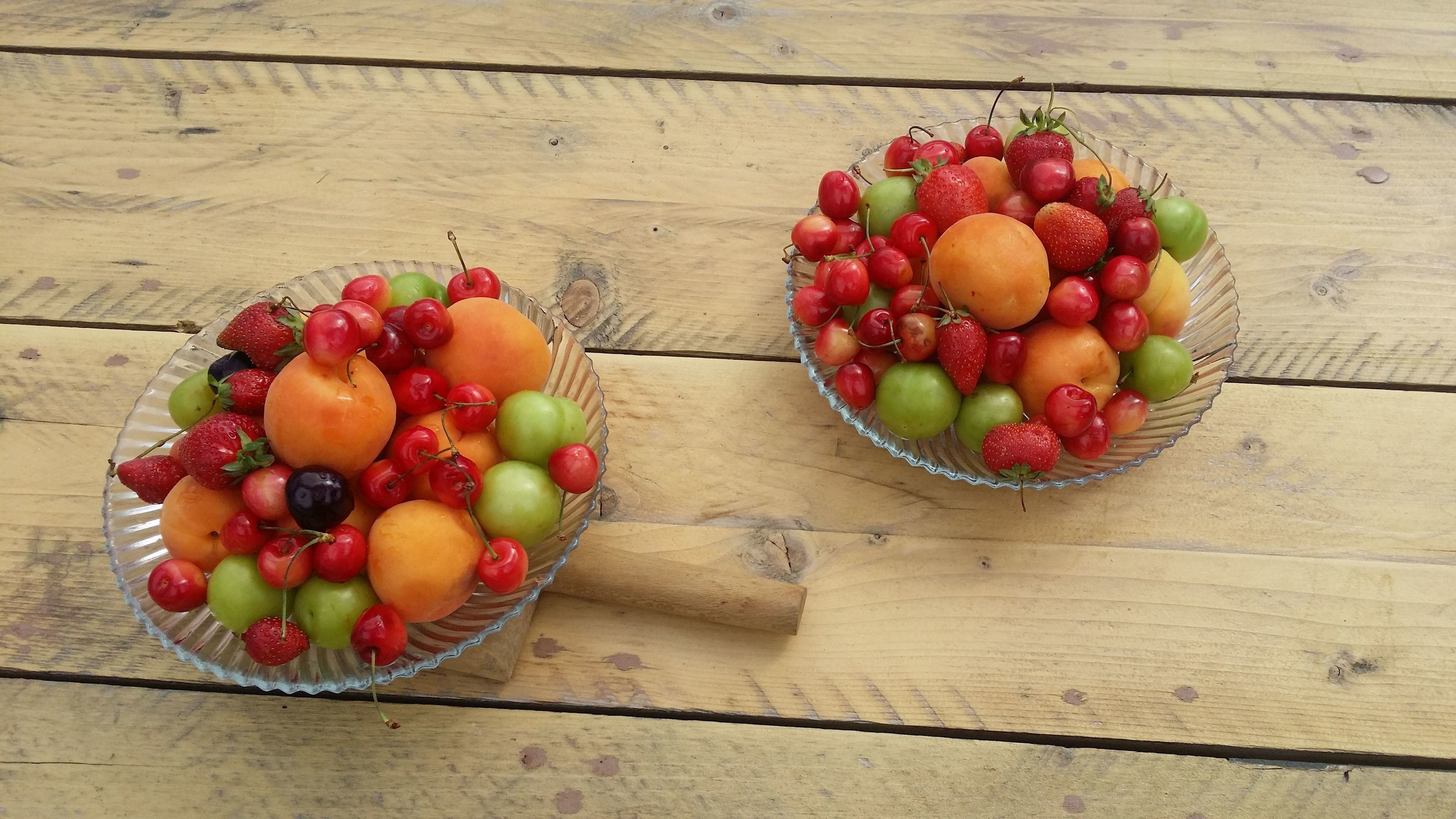 ELaiolithos Luxury Retreat