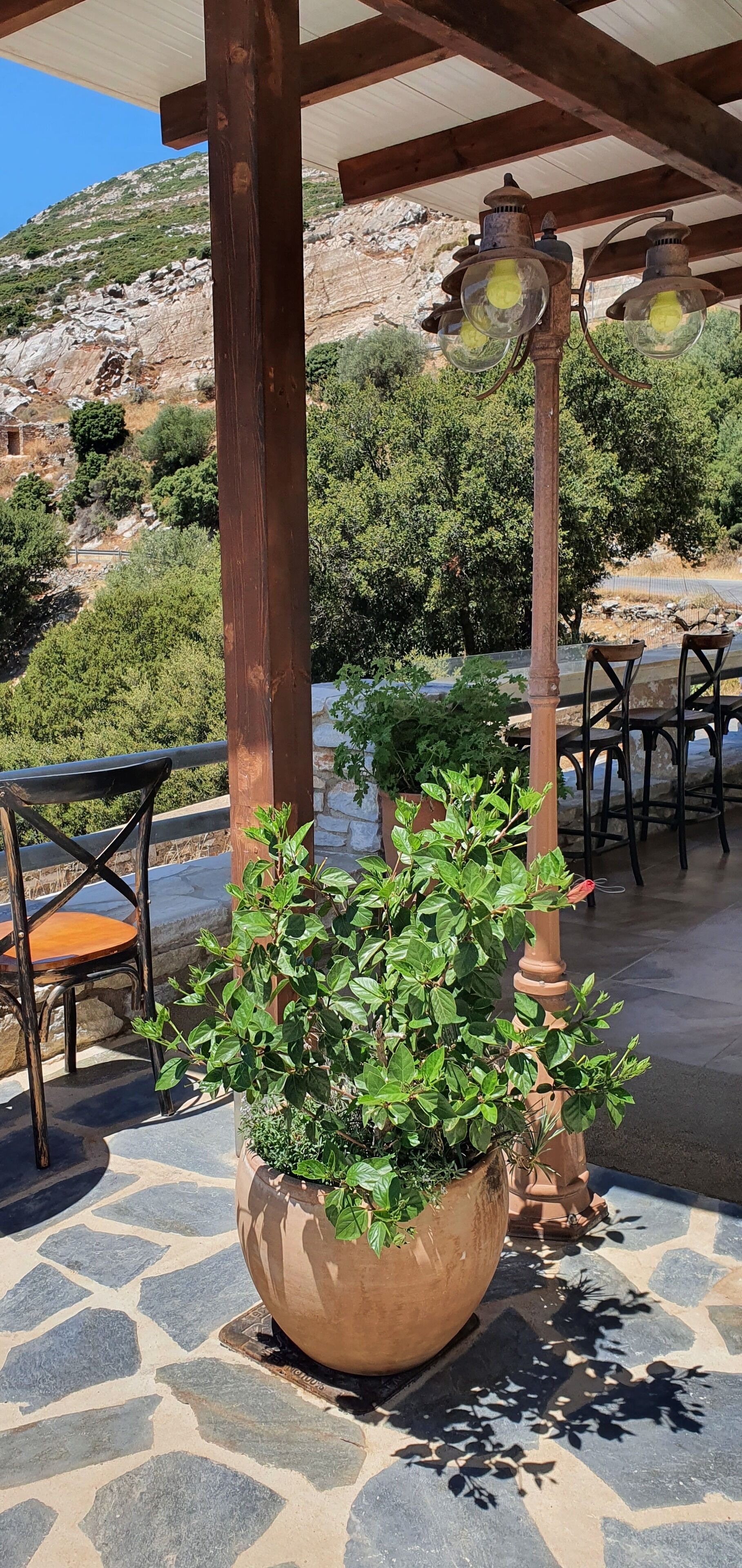 ELaiolithos Luxury Retreat