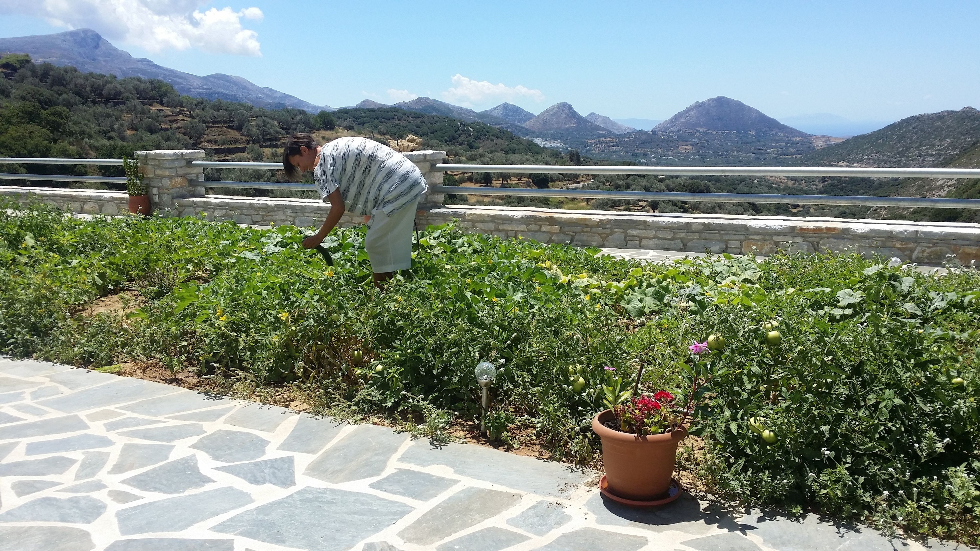 ELaiolithos Luxury Retreat