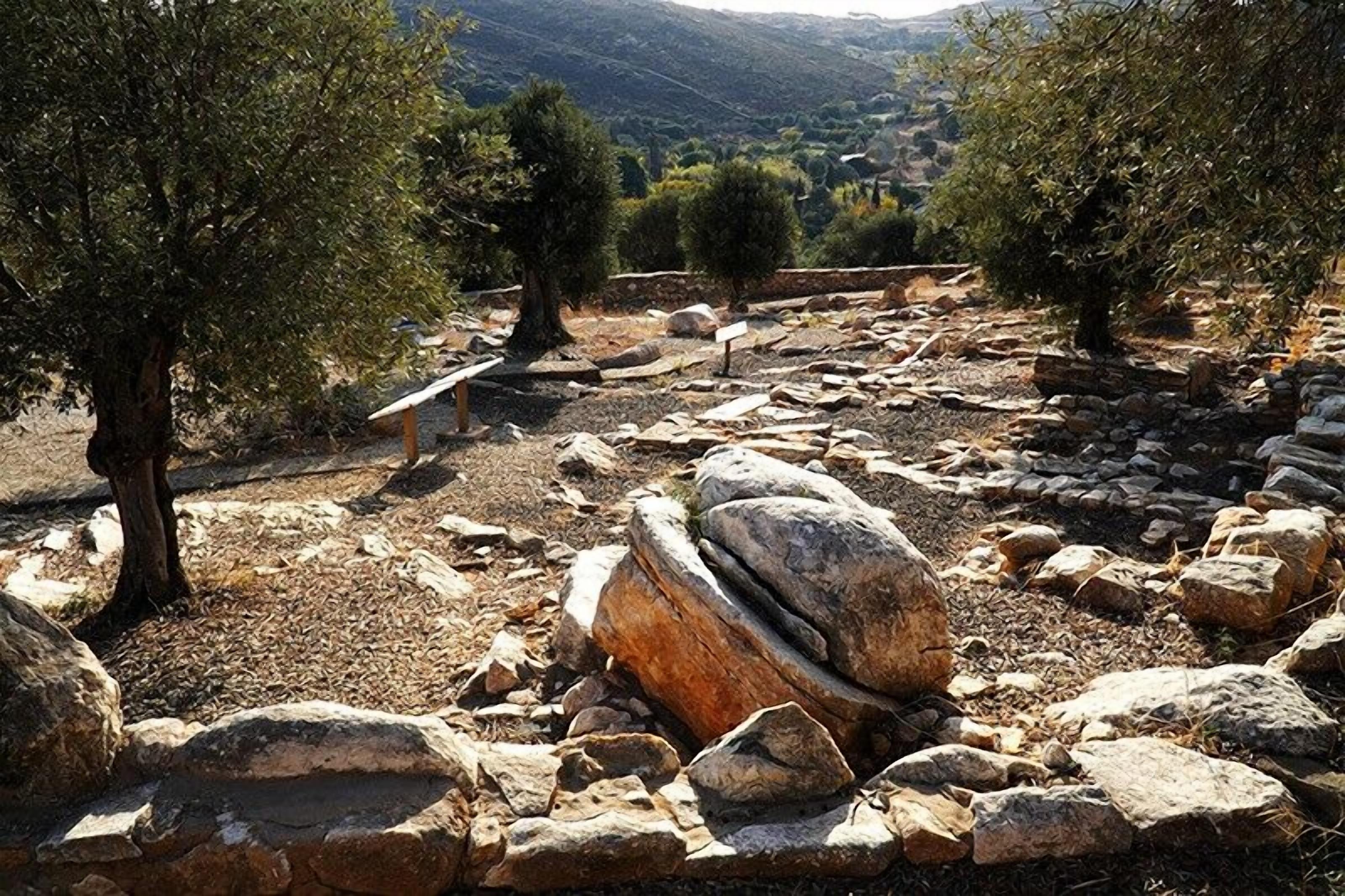 Ktima Drilli Naxos