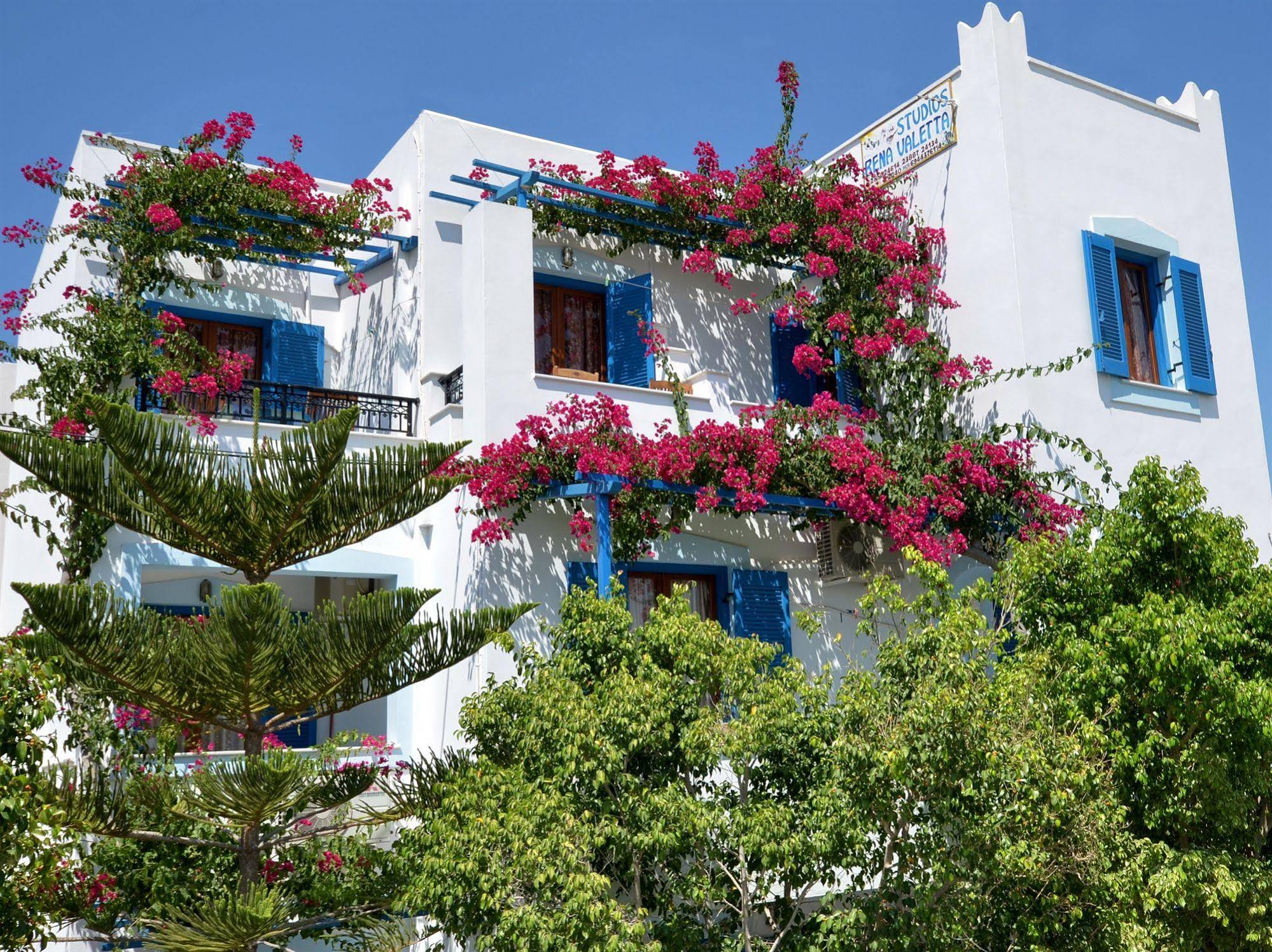 Rena Valetta Studios