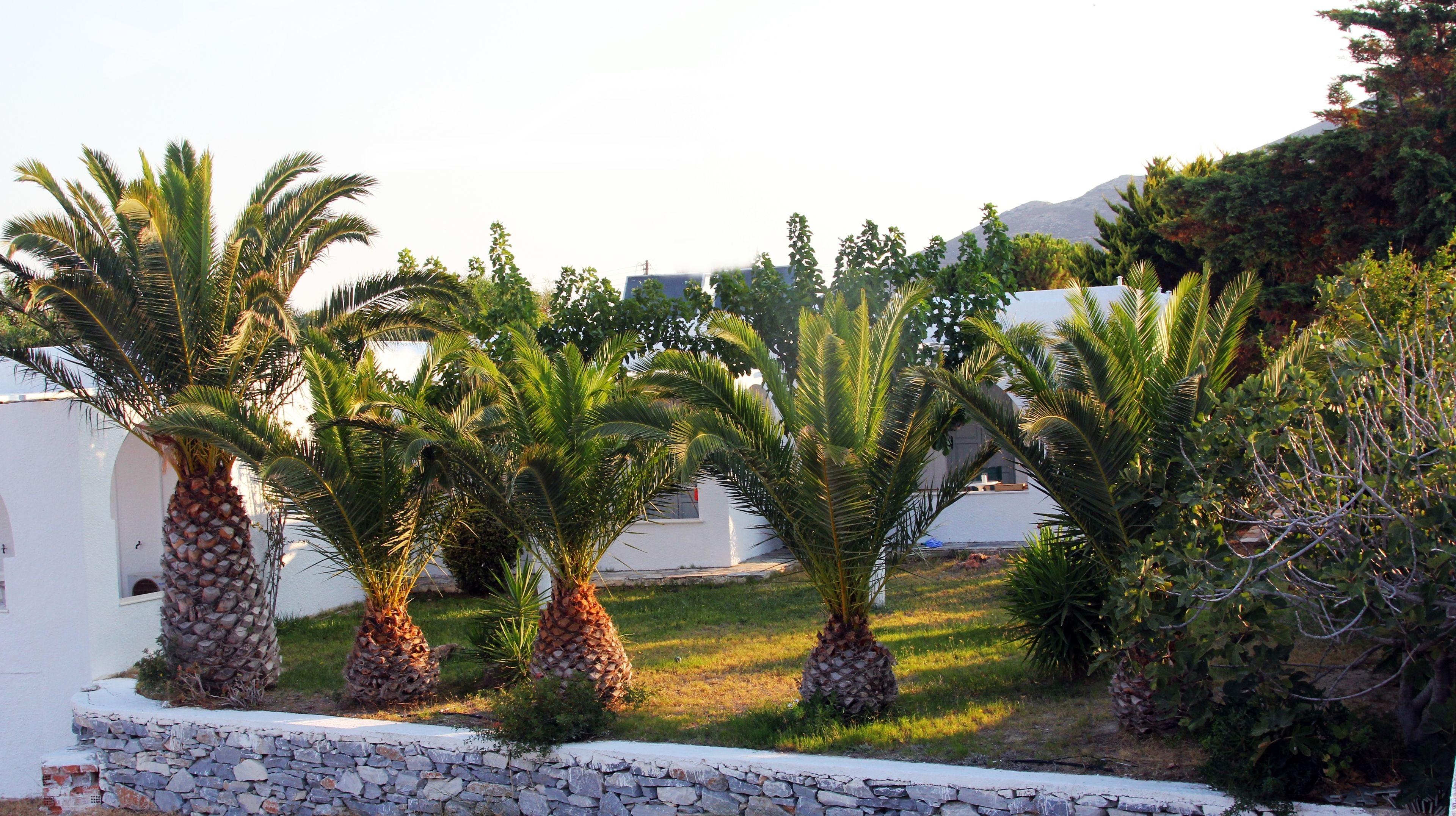 Scala Apartments
