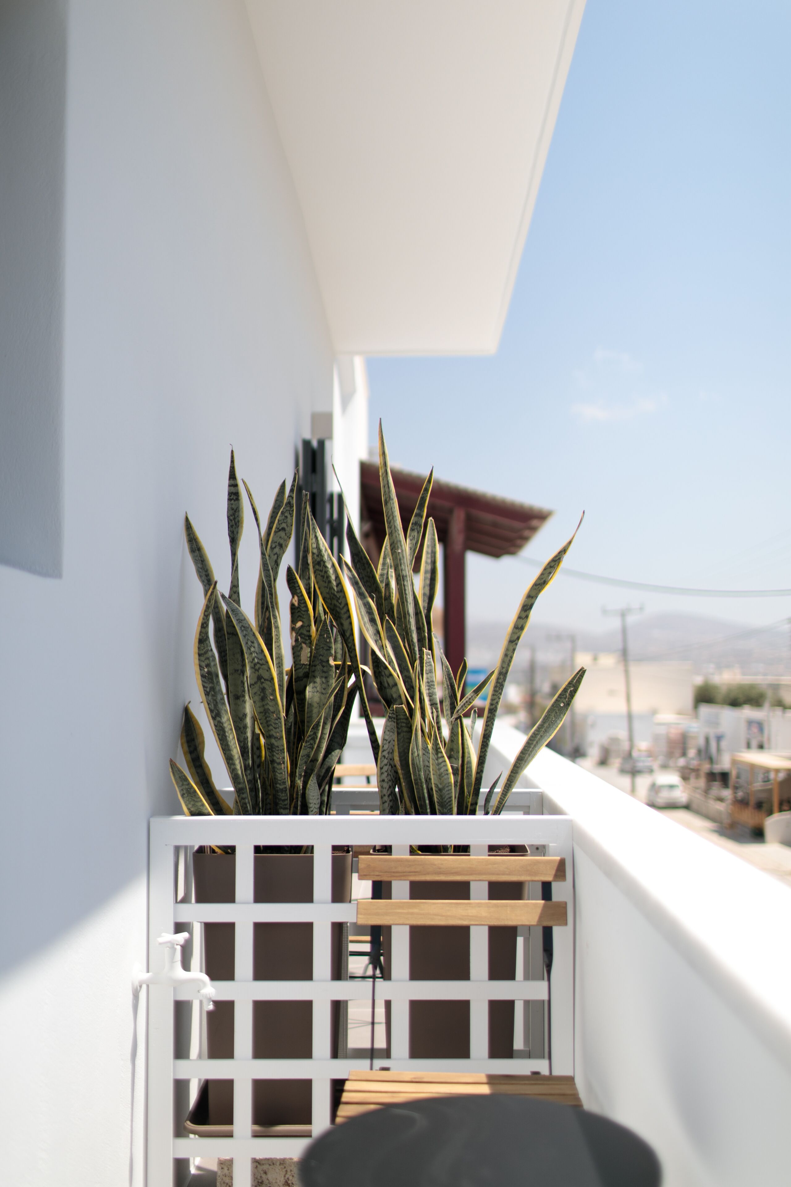 Vorta Naxos