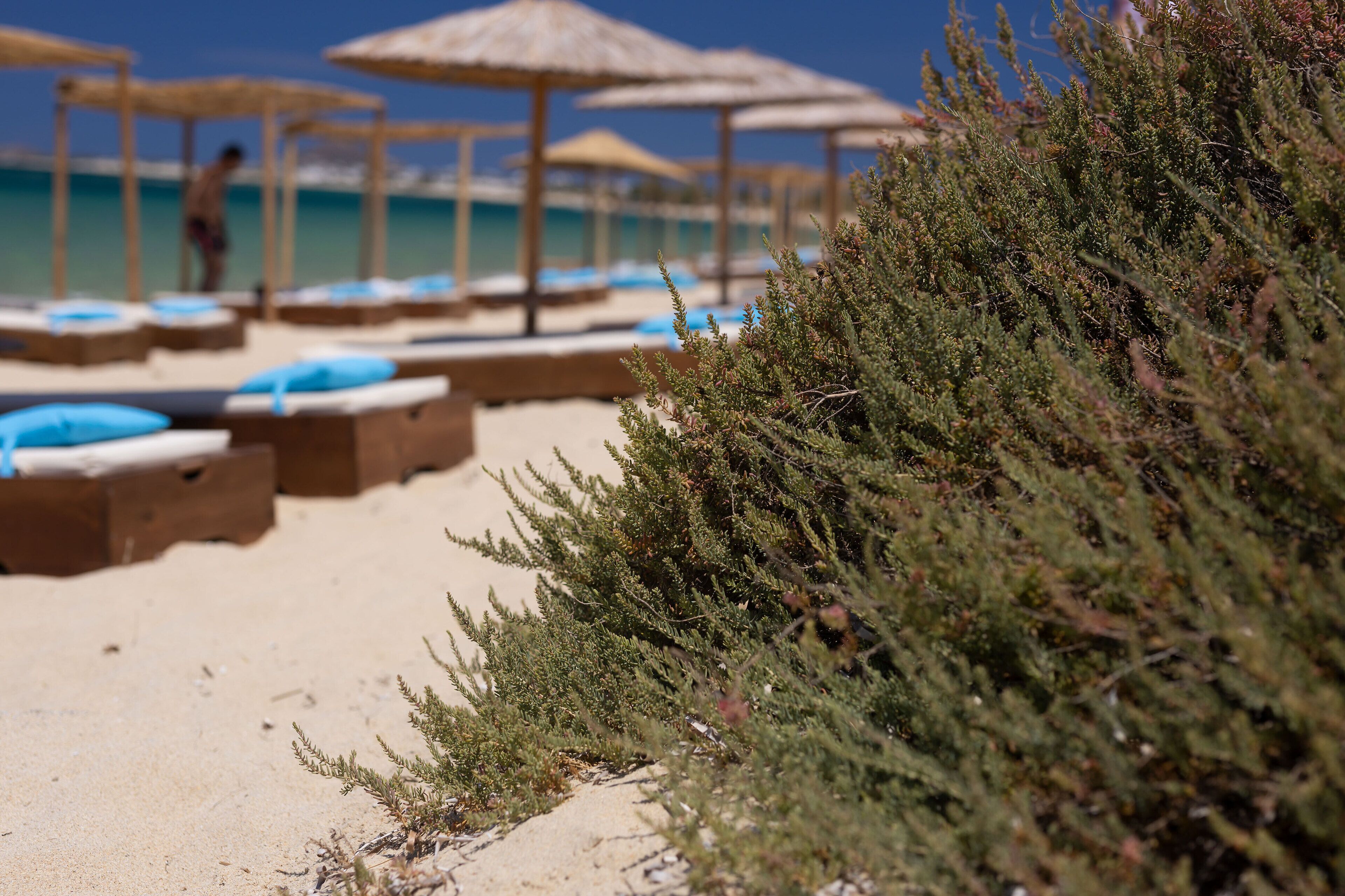 Archon Seaside Retreat