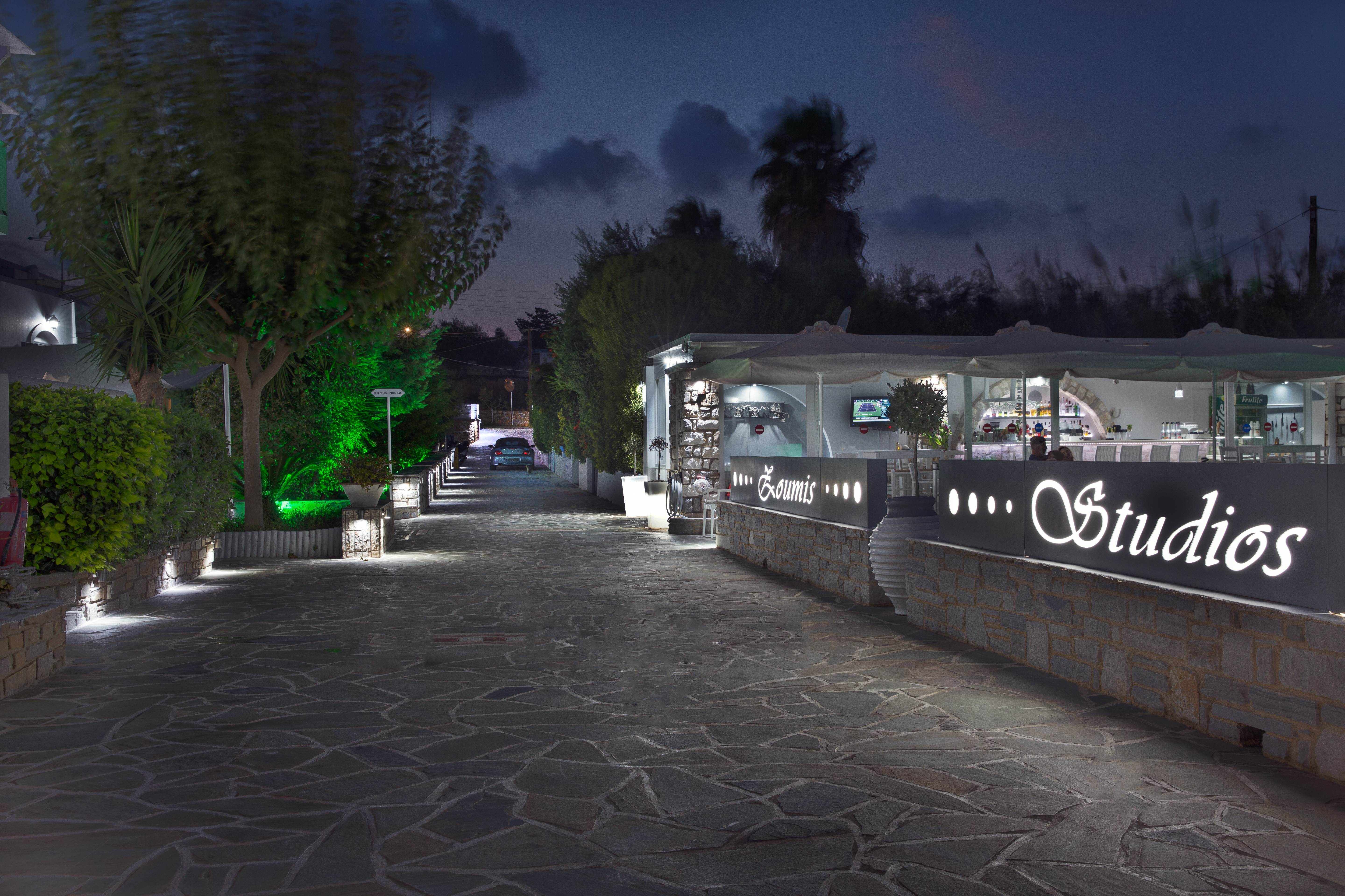Zoumis Studios