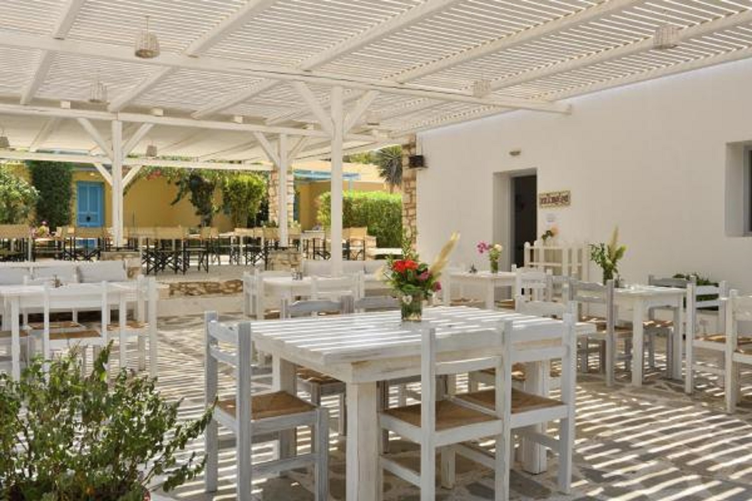 Surfing Beach Paros