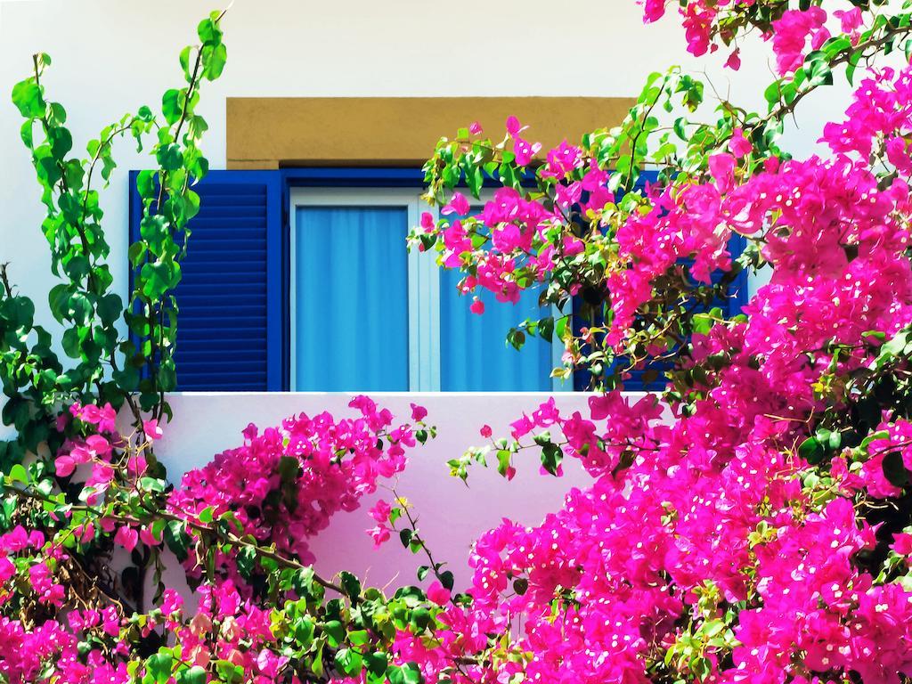 Patmos Paradise Hotel
