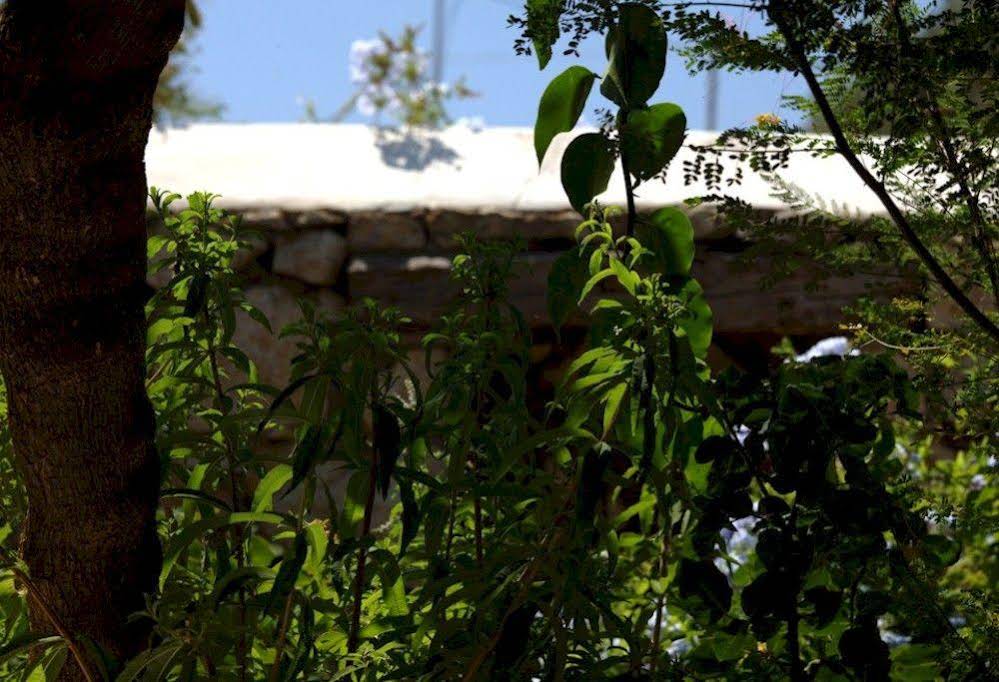 Eirini s Luxury Villas Hotel