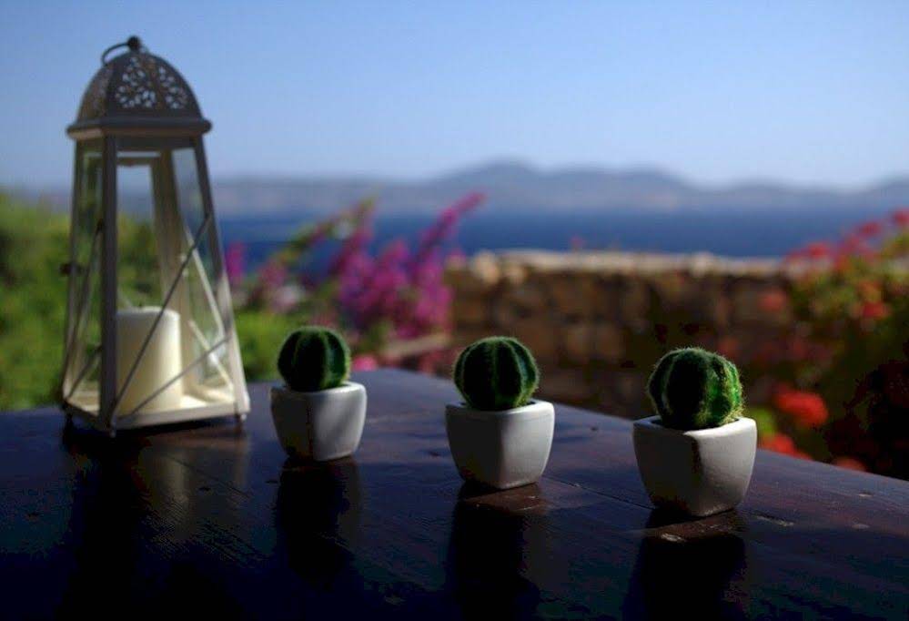 Eirini s Luxury Villas Hotel