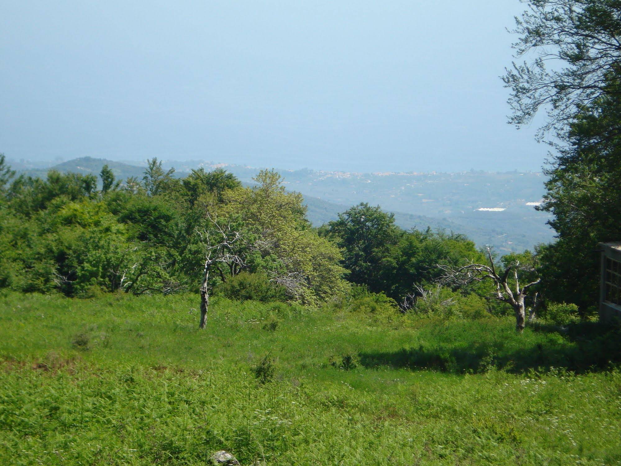 Hotel Hani Zisi