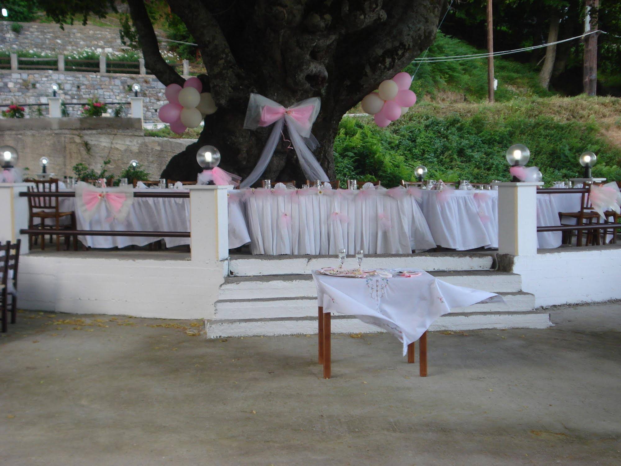 Hotel Hani Zisi