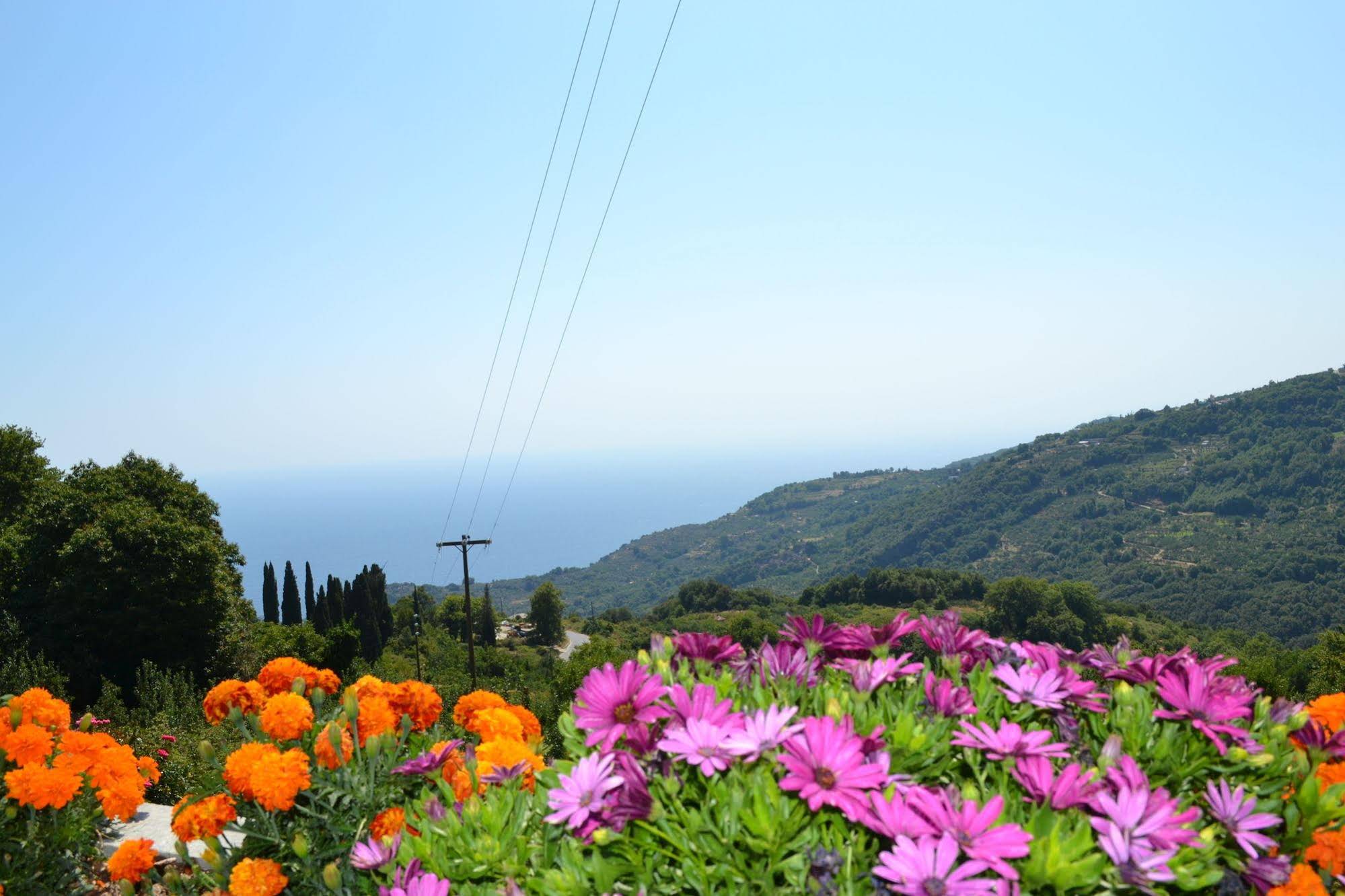 Guesthouse Kapaniaris