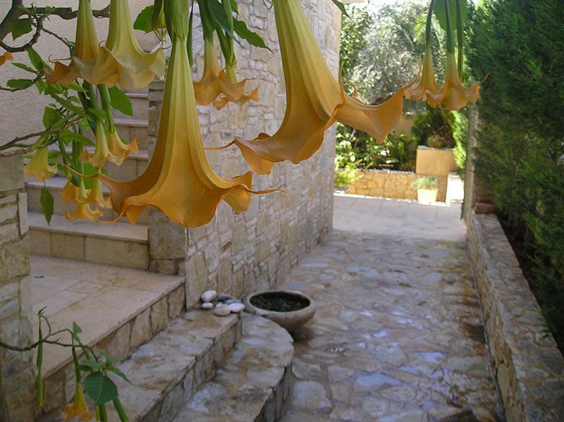 Eleonas Studios