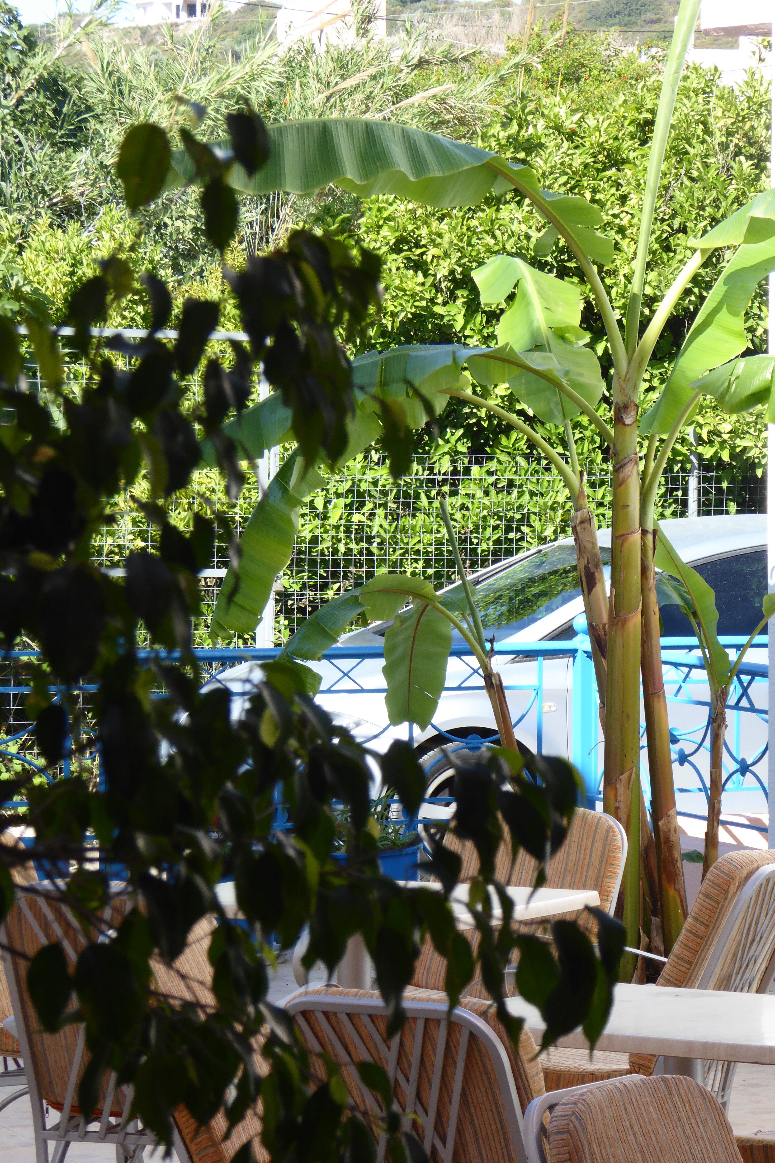 Acapulco Apartments