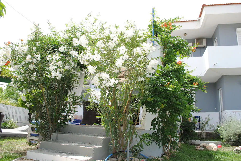 Karmik Concept Pension