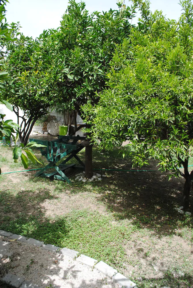 Karmik Concept Pension