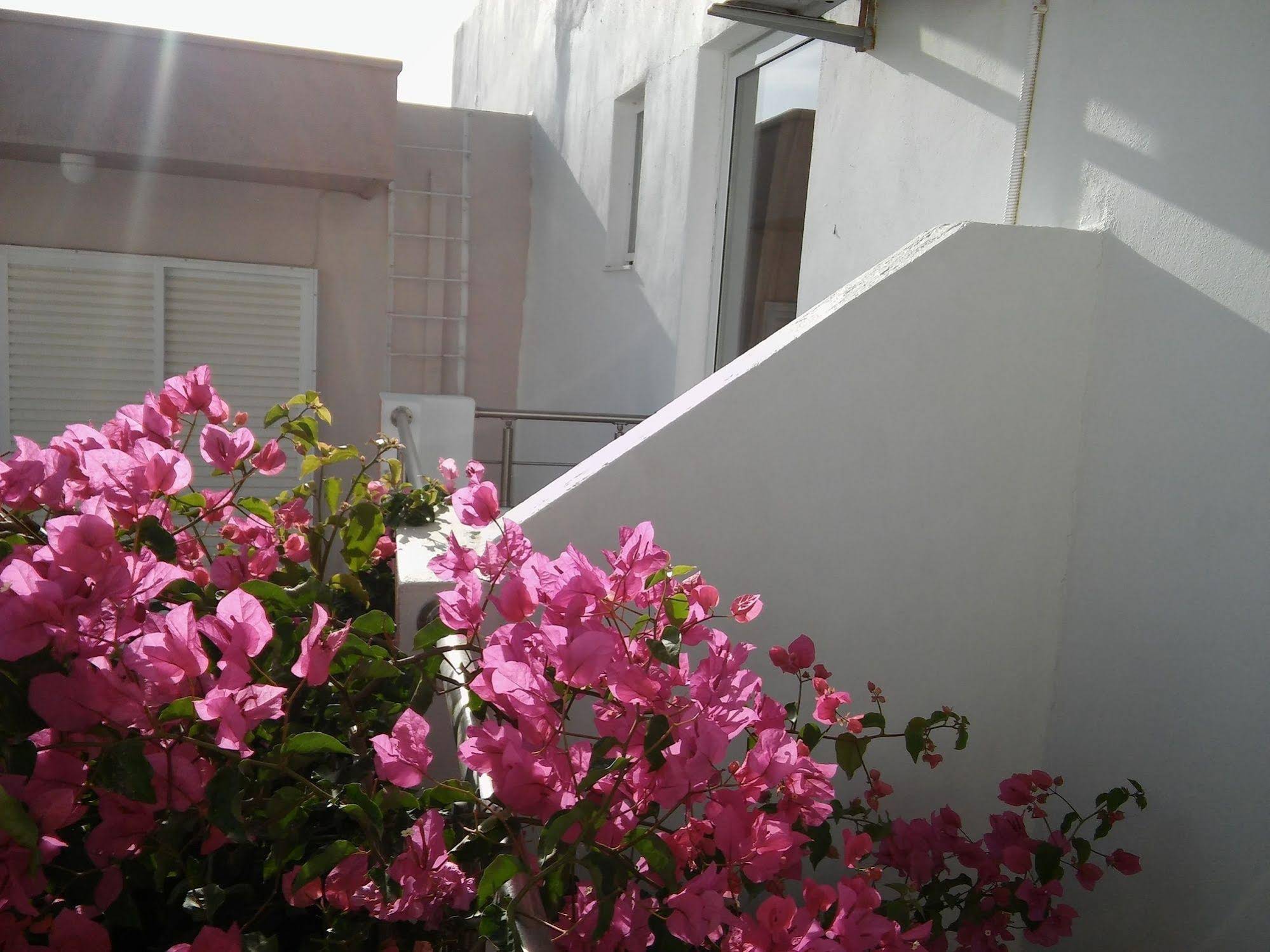 Maria Studios And Apartments
