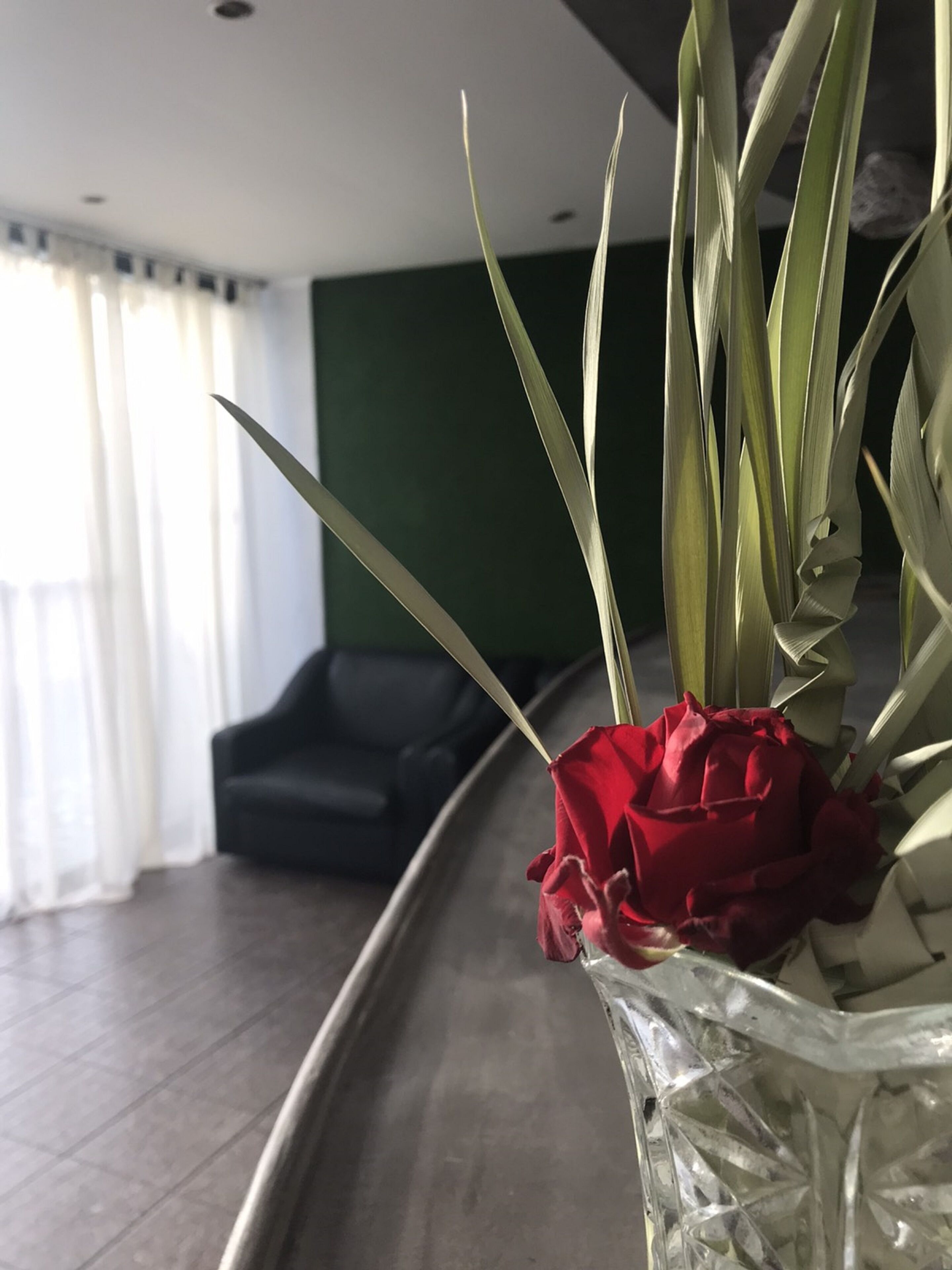 Mando Living Faliraki Rhodes