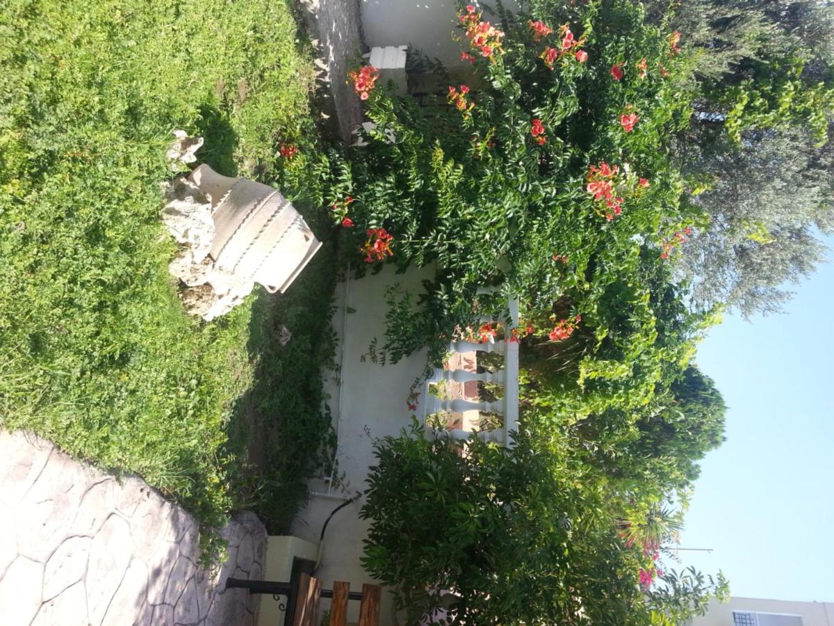 Mikes House