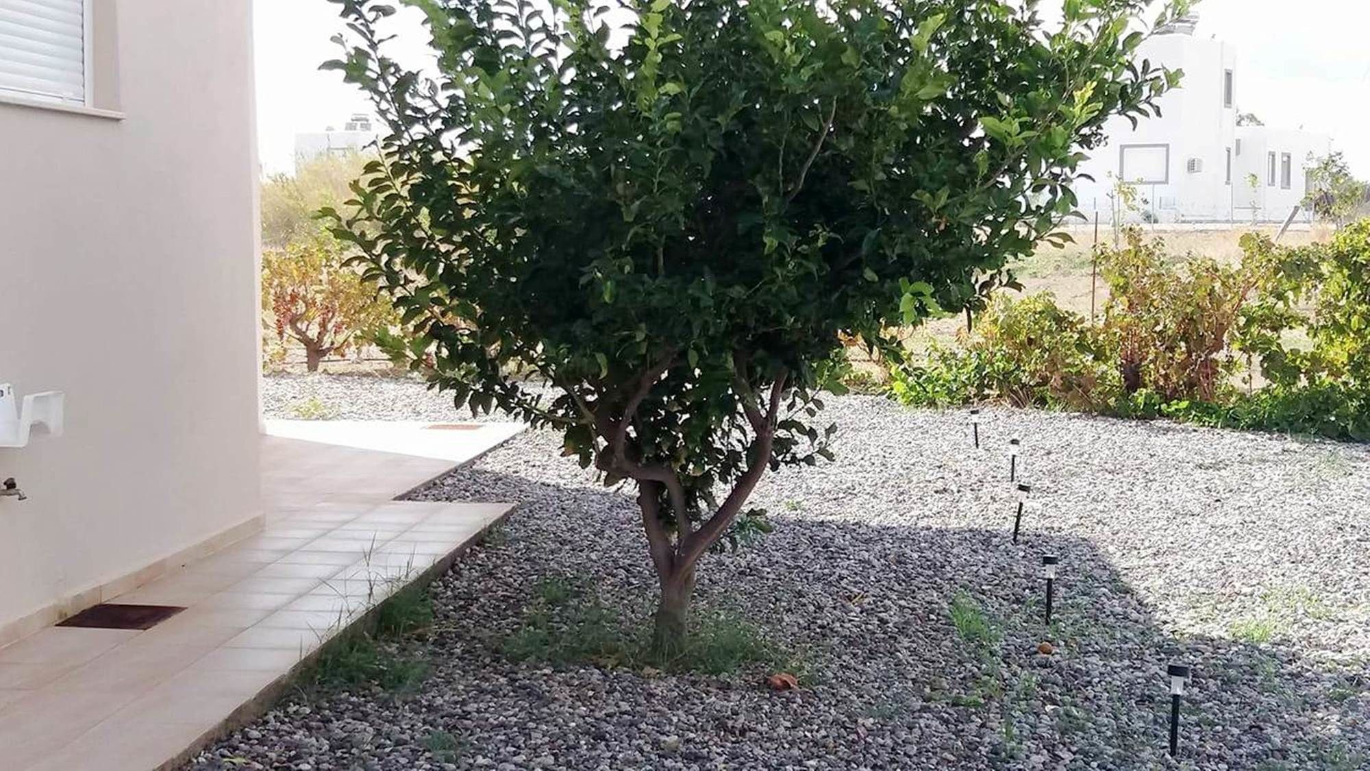 Gennadi Serenity House