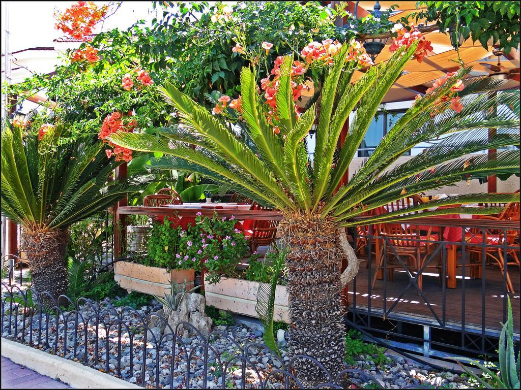 Kalathos Sun Hotel