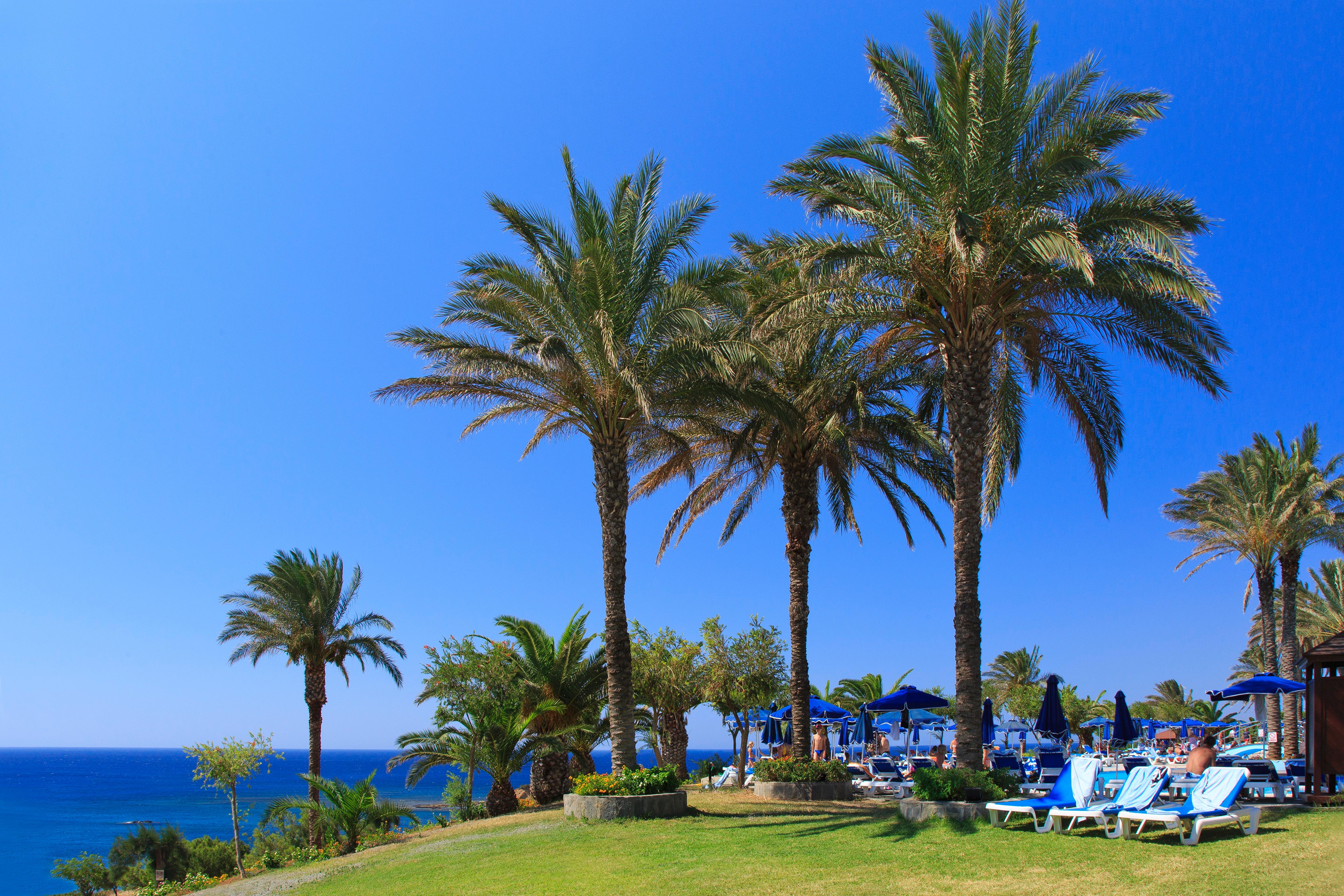 Rodos Princess Beach Resort & Spa