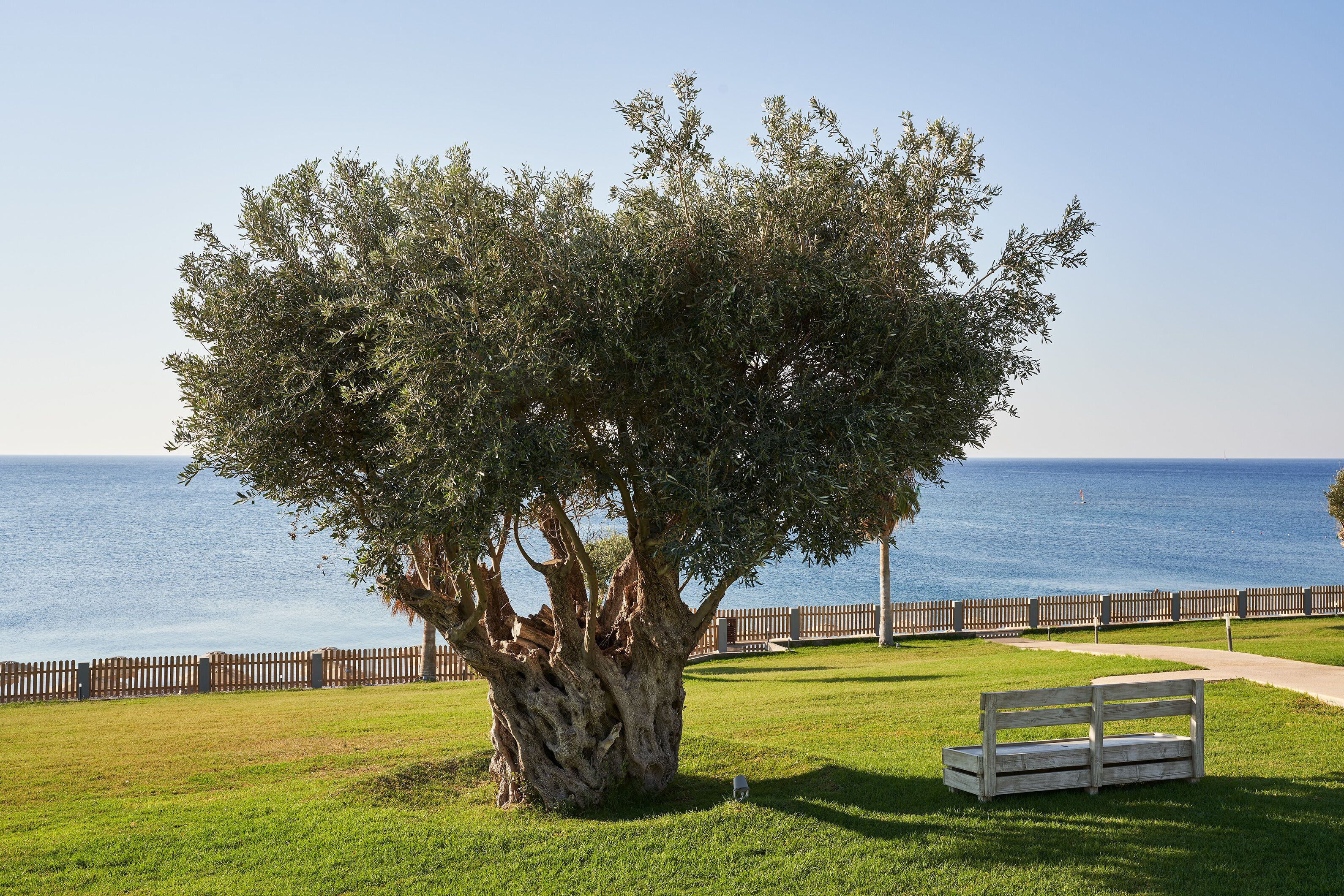 Atlantica Kolymbia Beach