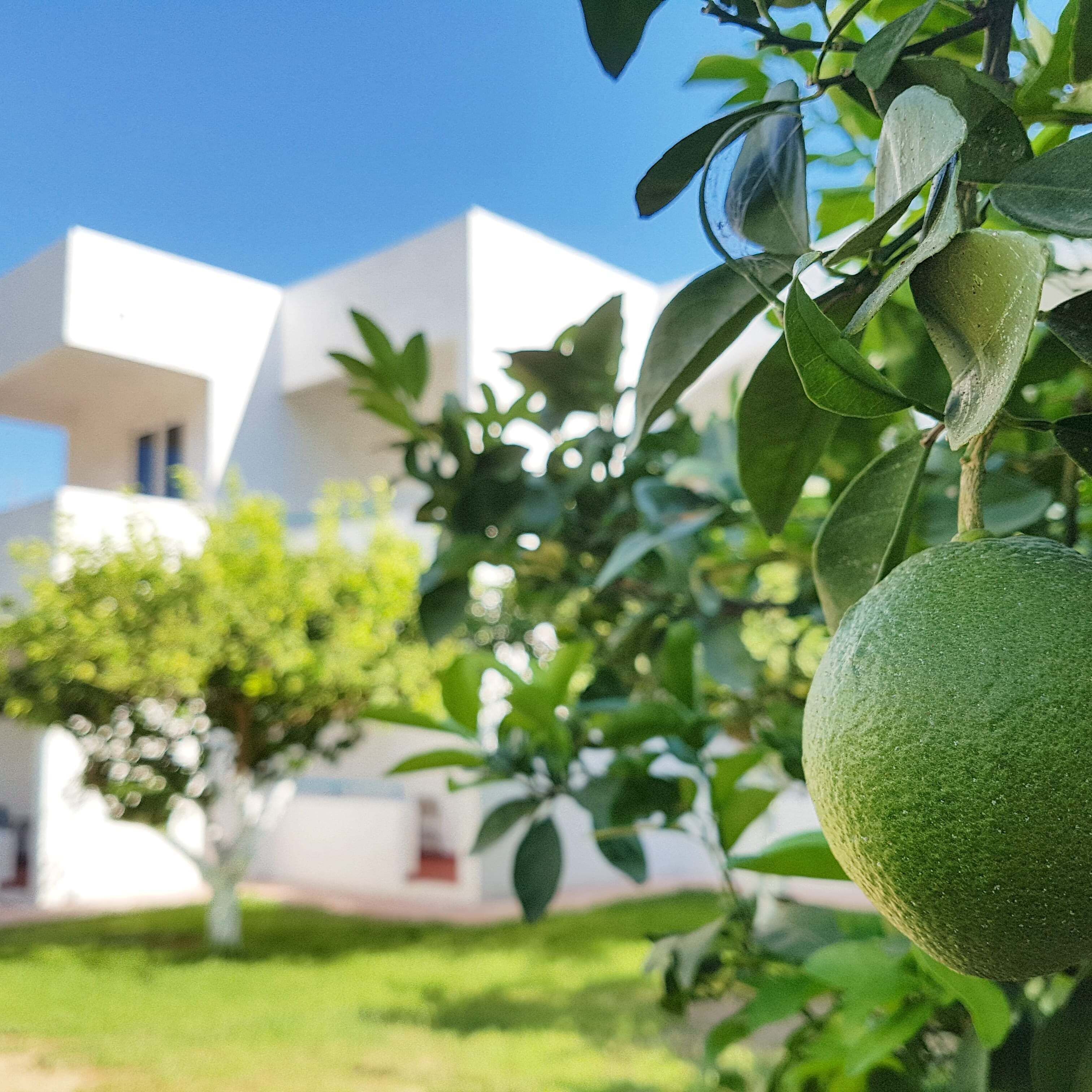 Casa Mikele by Sarikas Sea Side Suites