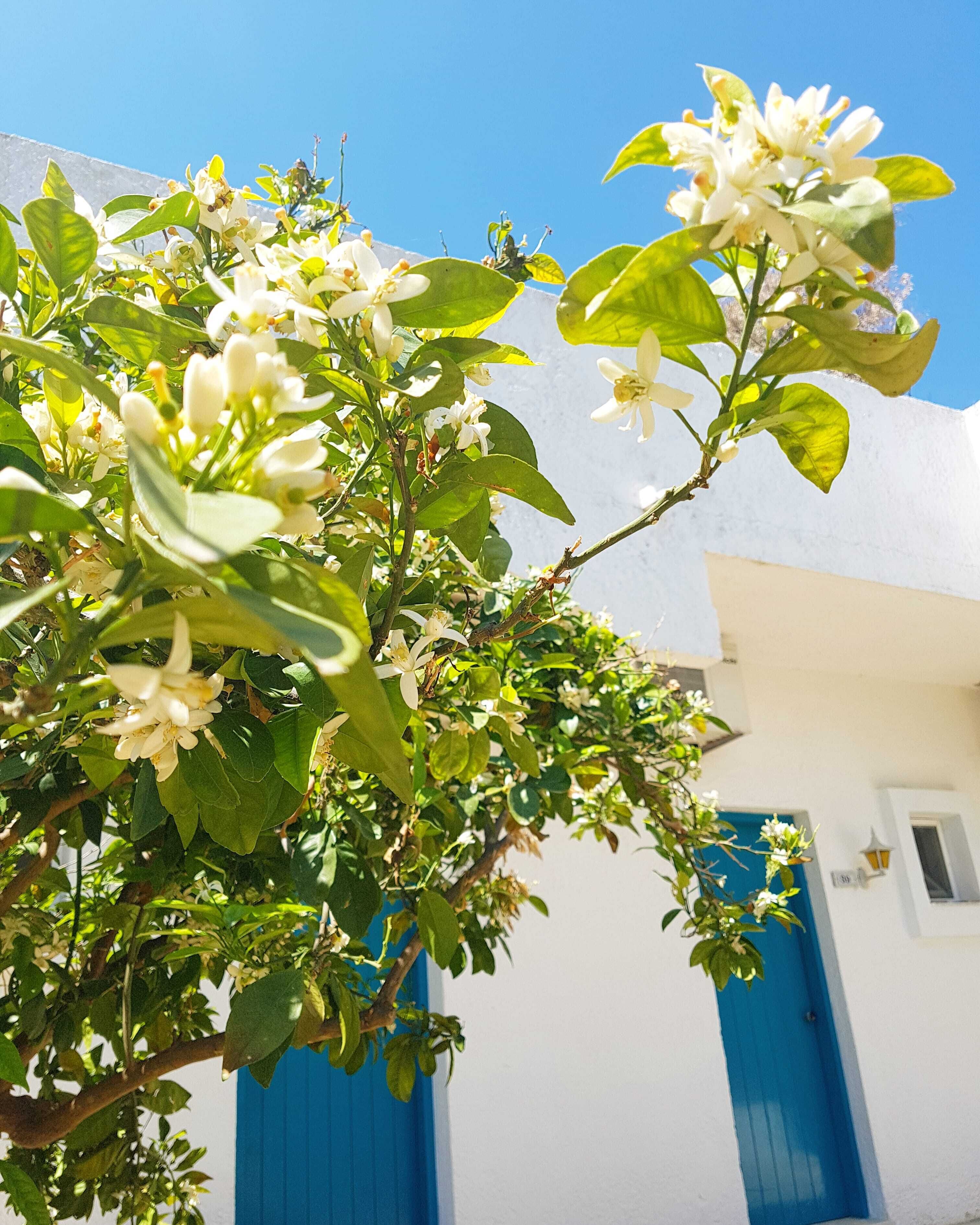 Casa Mikele by Sarikas Sea Side Suites