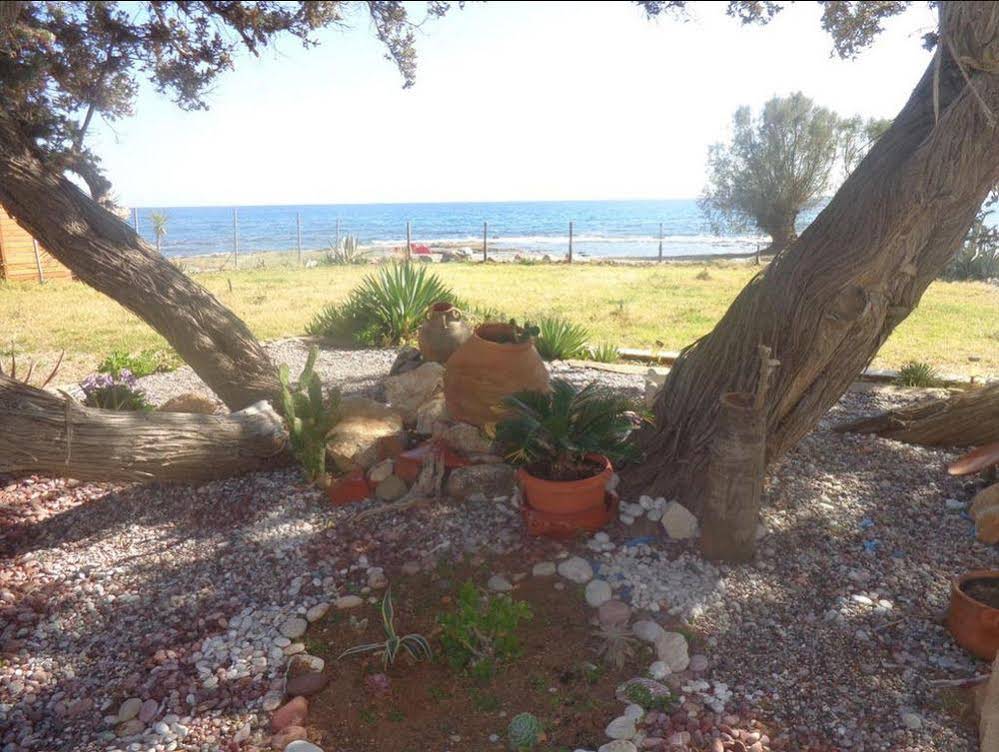 Nicholas Beach Studios